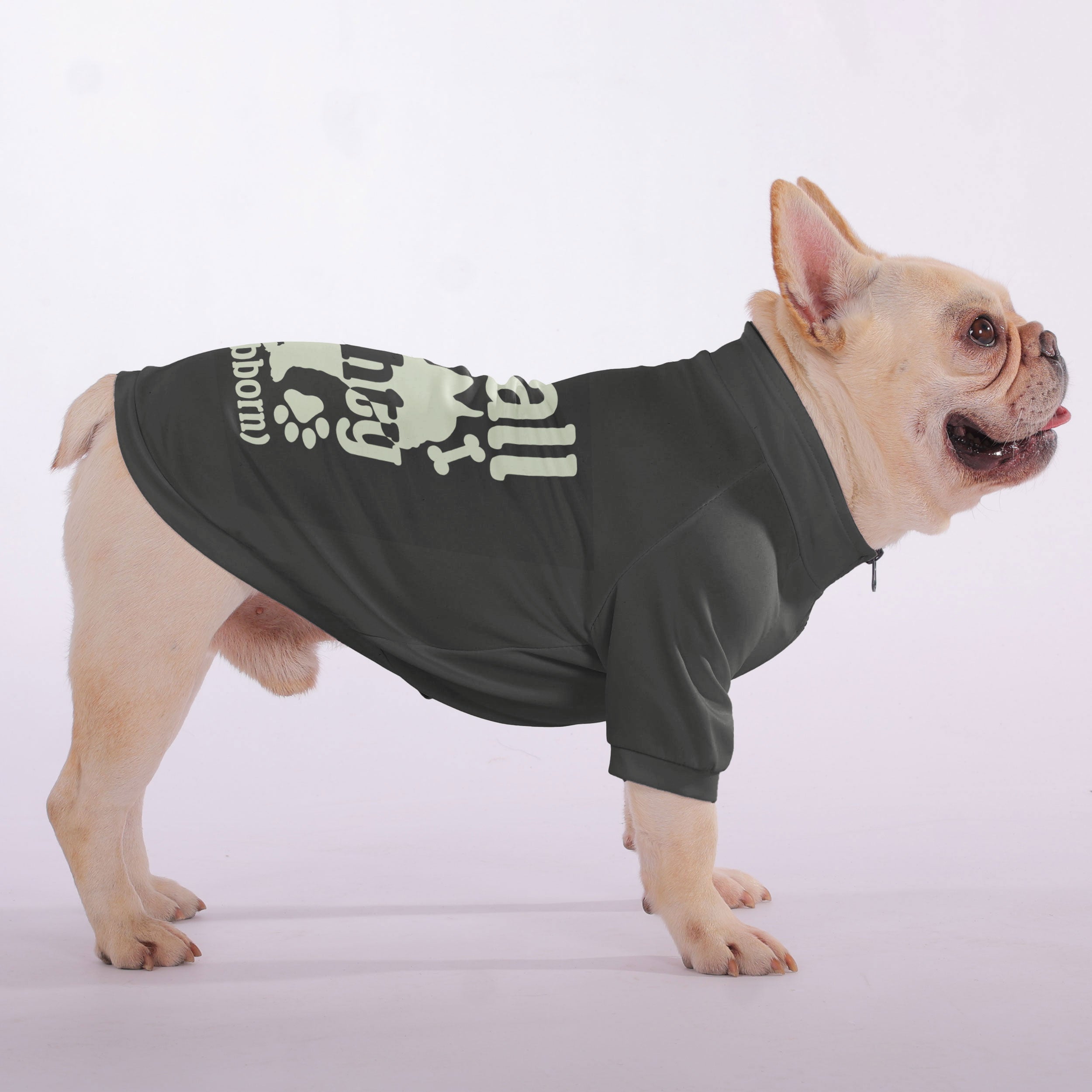 Small French Bulldog Pet Sweatshirt for Outdoor Adventures-fadou