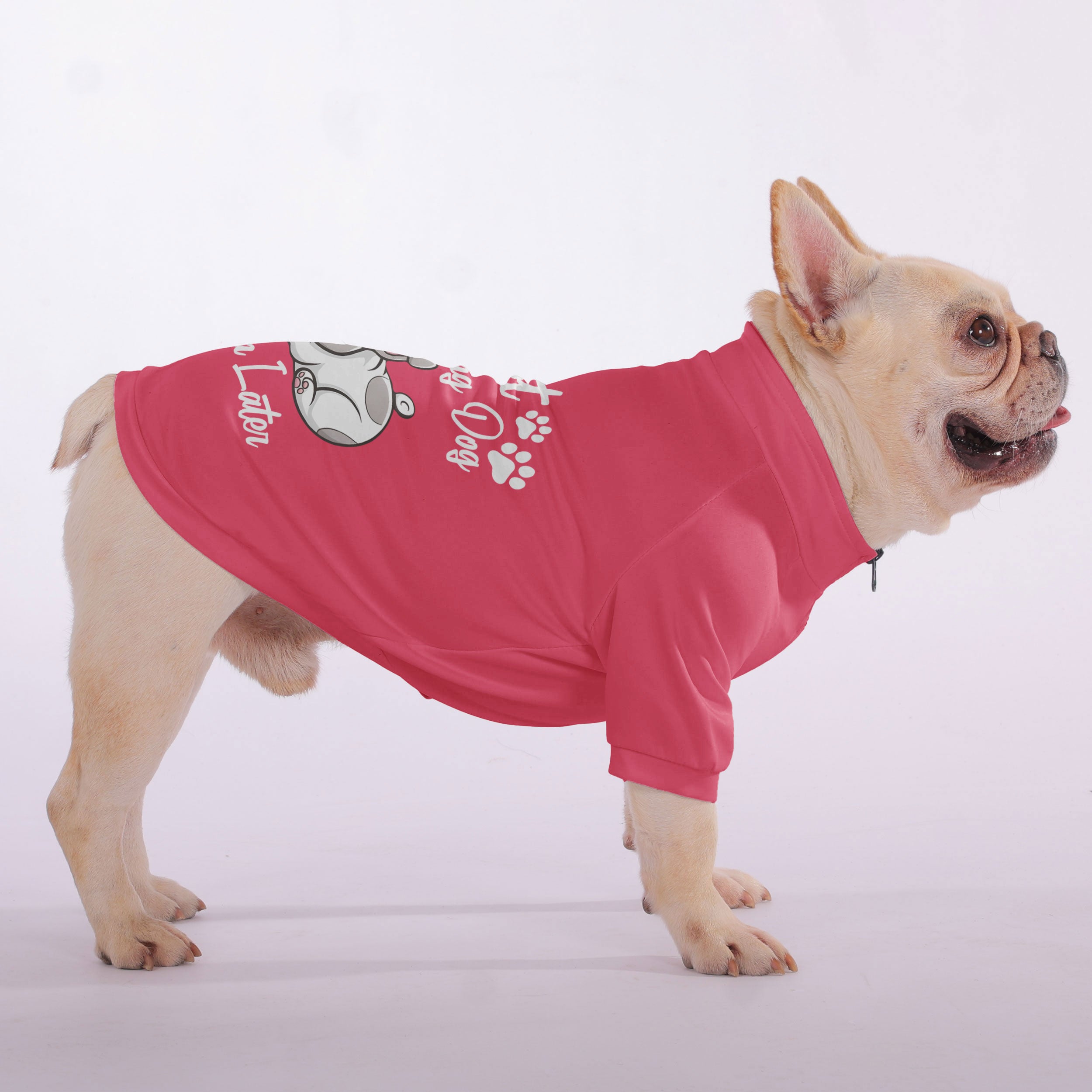 I’m Not a Morning Dog, Try Again Later - Snuggly for French Bulldogs-fadou