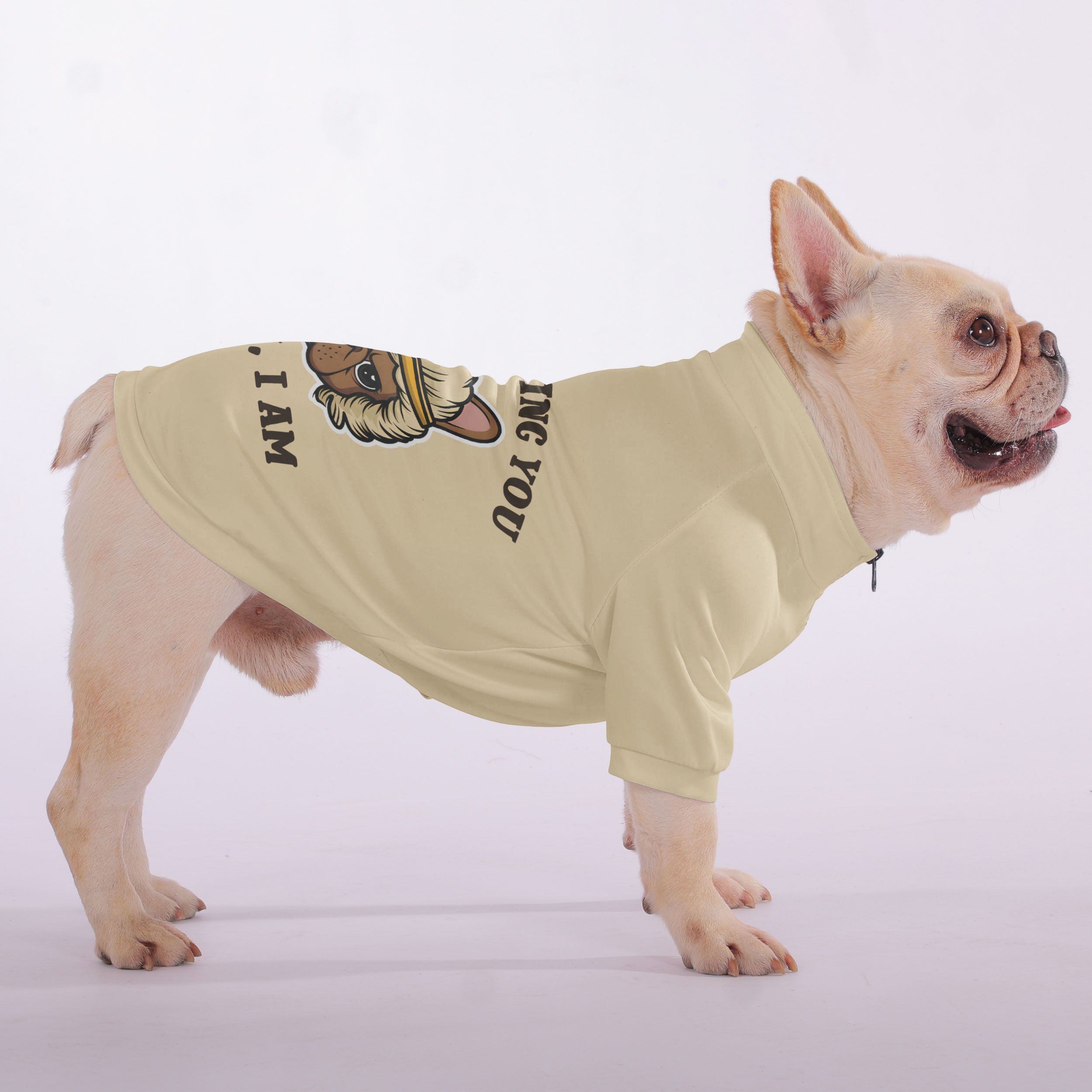 Not French Bulldog Pet Sweatshirt for Brachycephalic Dogs-fadou