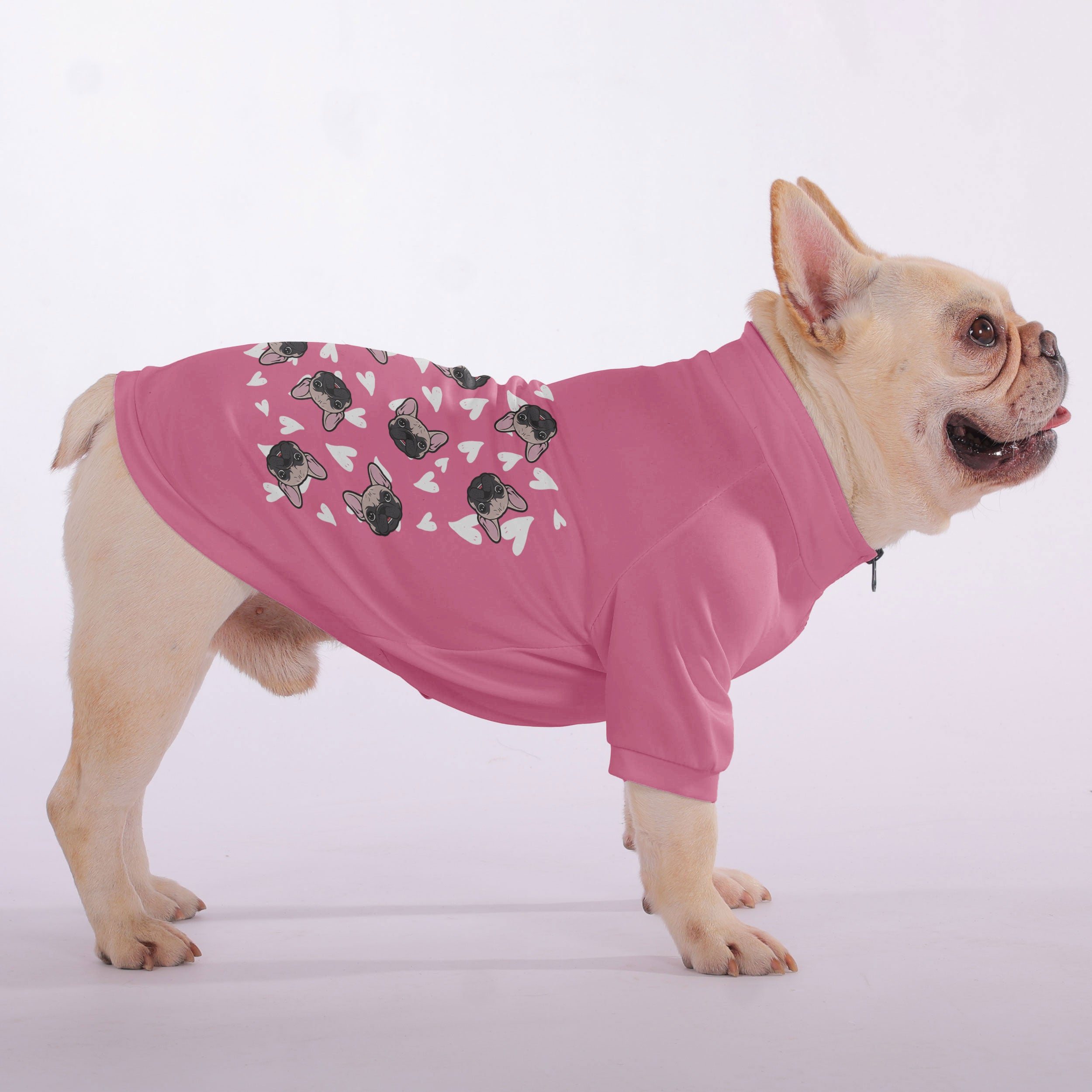 Delrick French Bulldog Dog Hoodie for Training Sessions-fadou