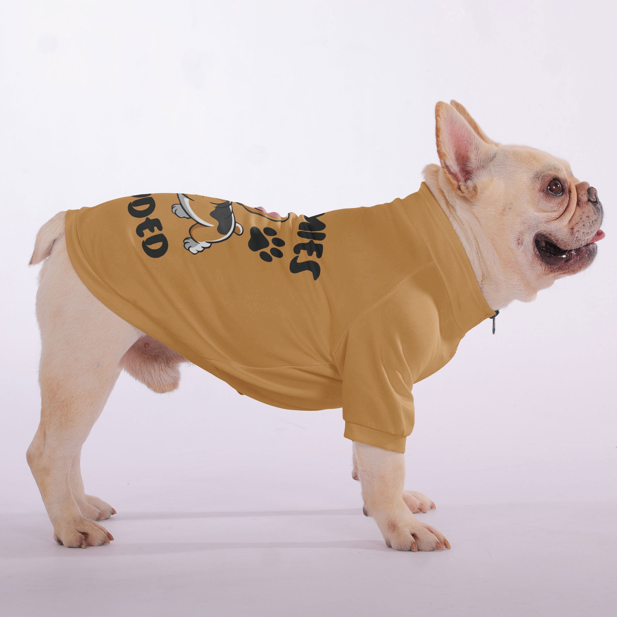 Zoomies French Bulldog Cozy Hoodie for Outdoor Adventures-fadou
