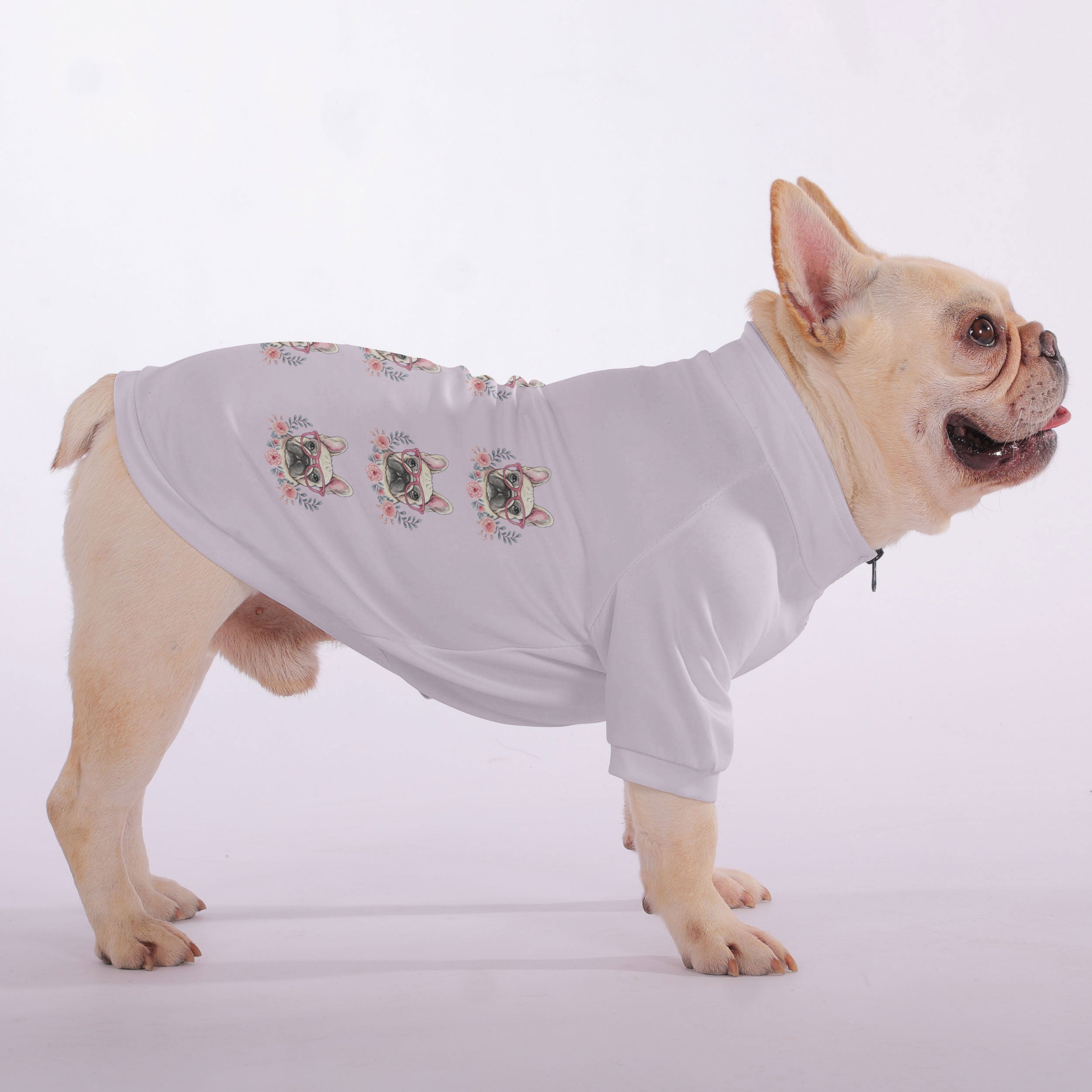 Salsi French Bulldog Pet Sweatshirt for Short-Nosed Dogs-fadou