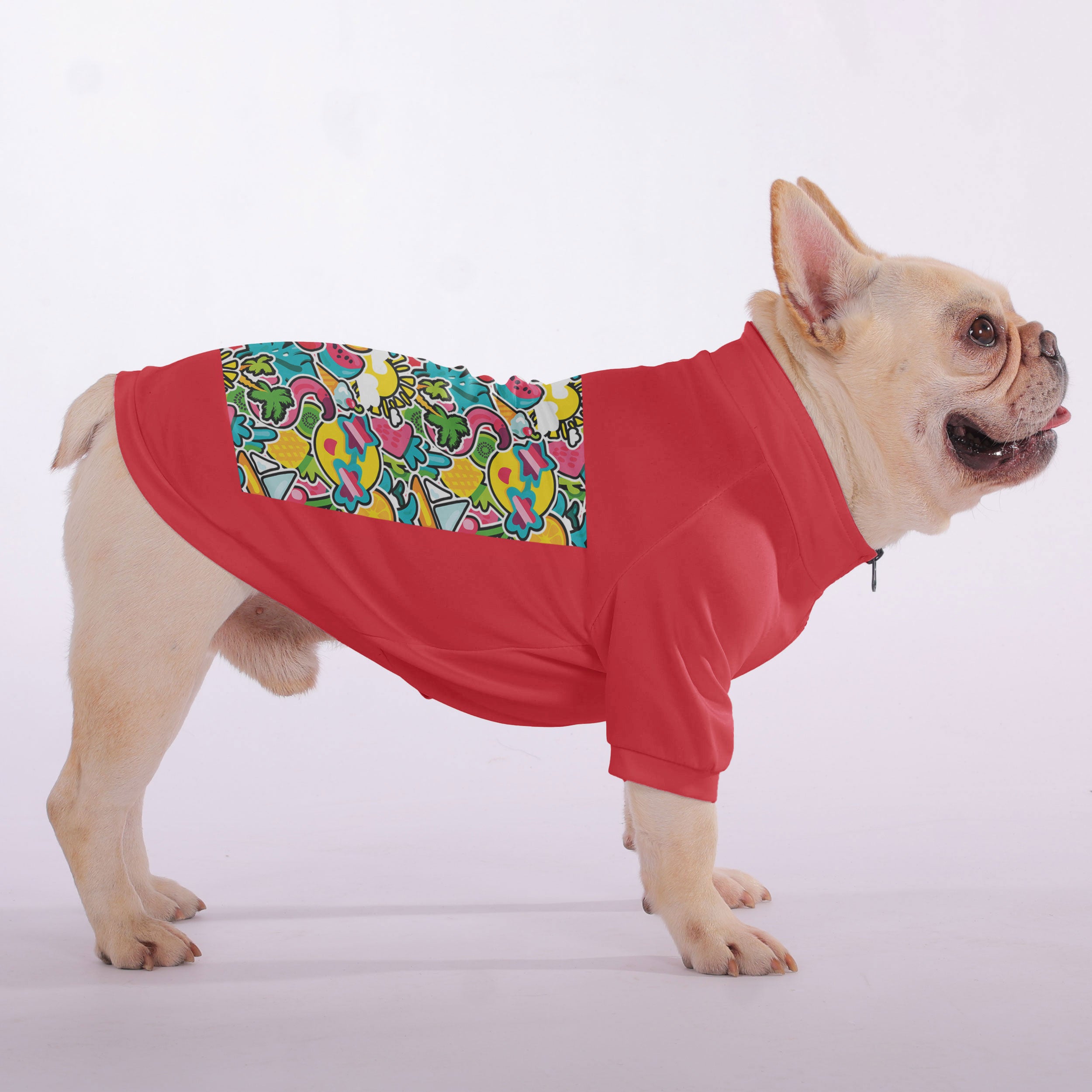 Apollo French Bulldog Fleece Hoodie for Training Sessions-fadou