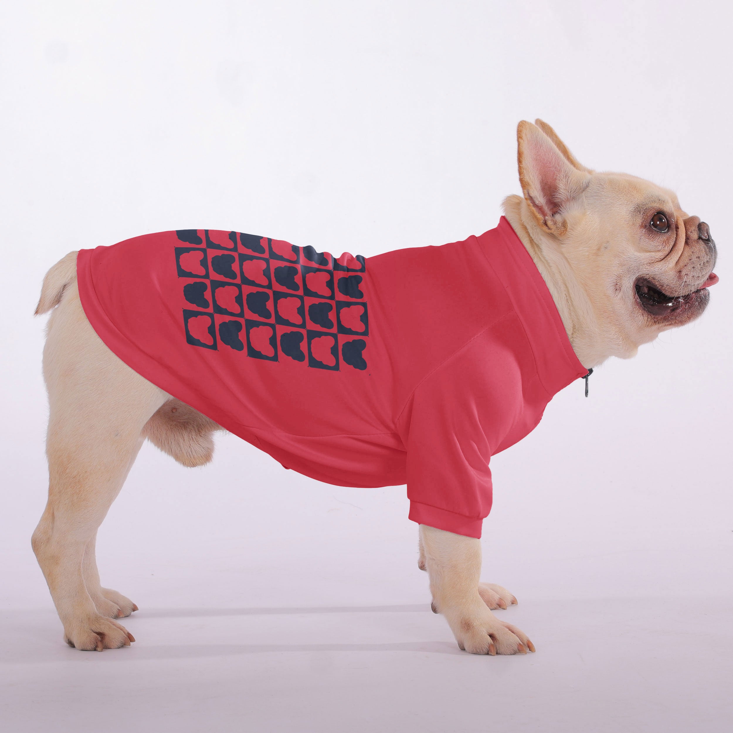 Teddy French Bulldog Fleece Hoodie for Outdoor Adventures-fadou