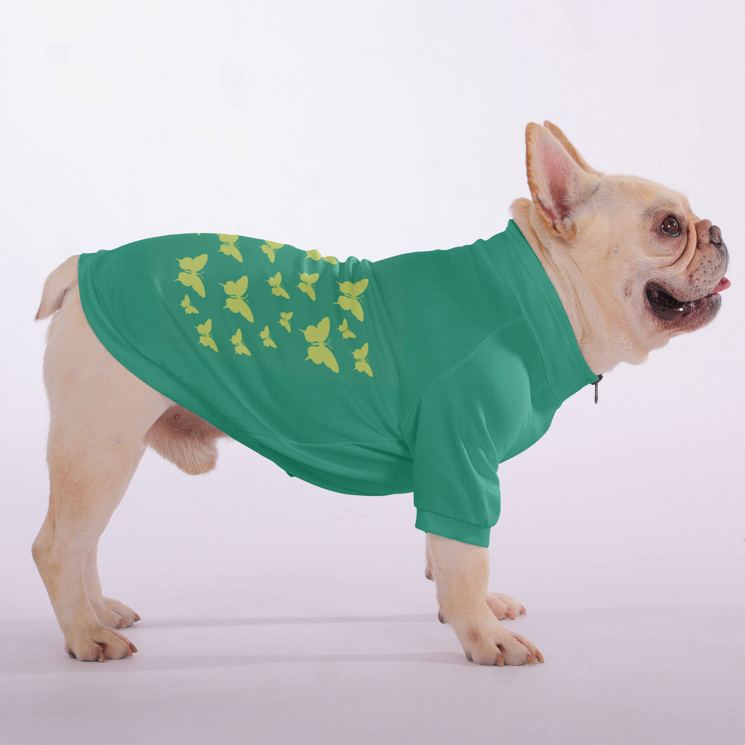 Groucho French Bulldog Pet Sweatshirt for Outdoor Adventures-fadou