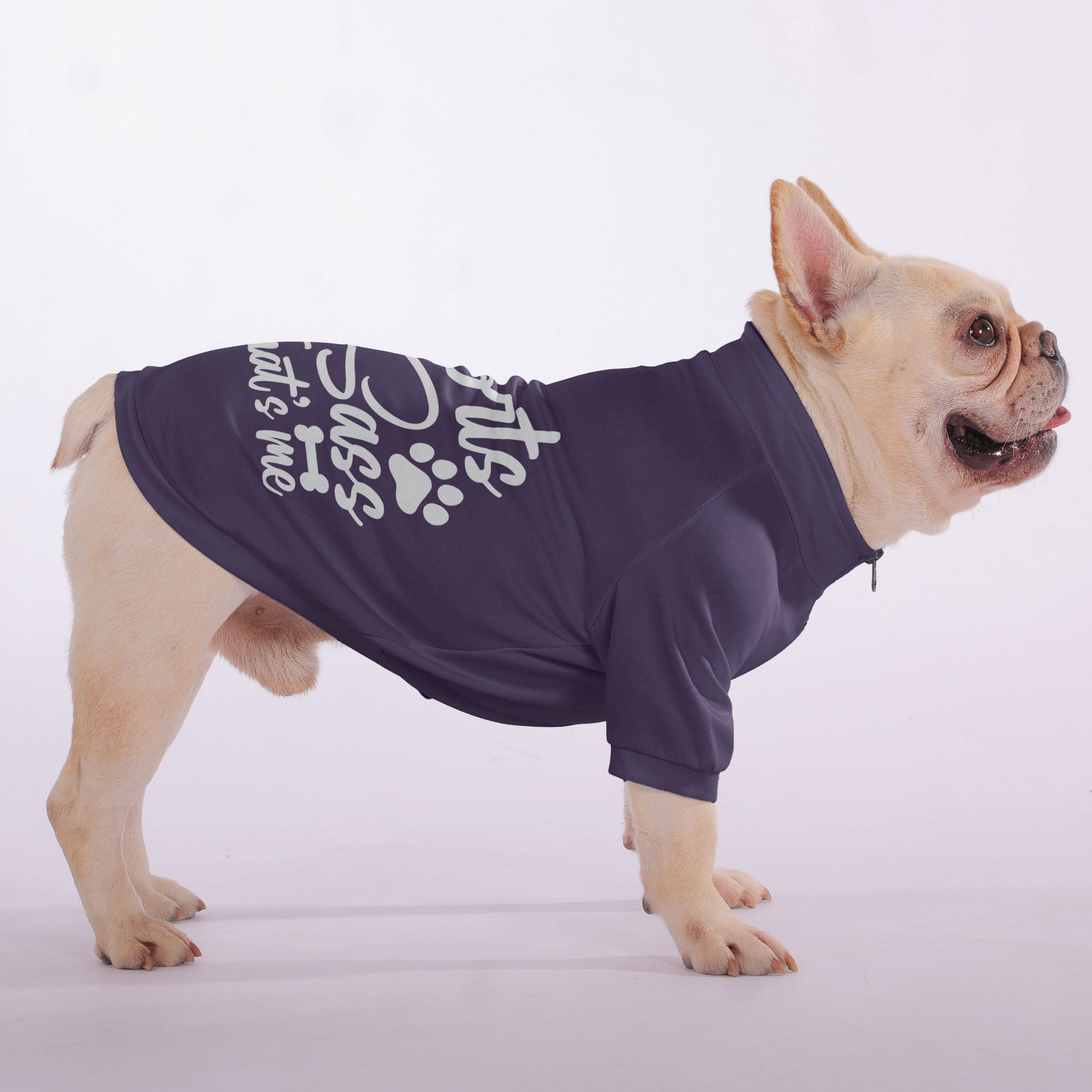 Snorts French Bulldog Fleece Hoodie for Training Sessions-fadou