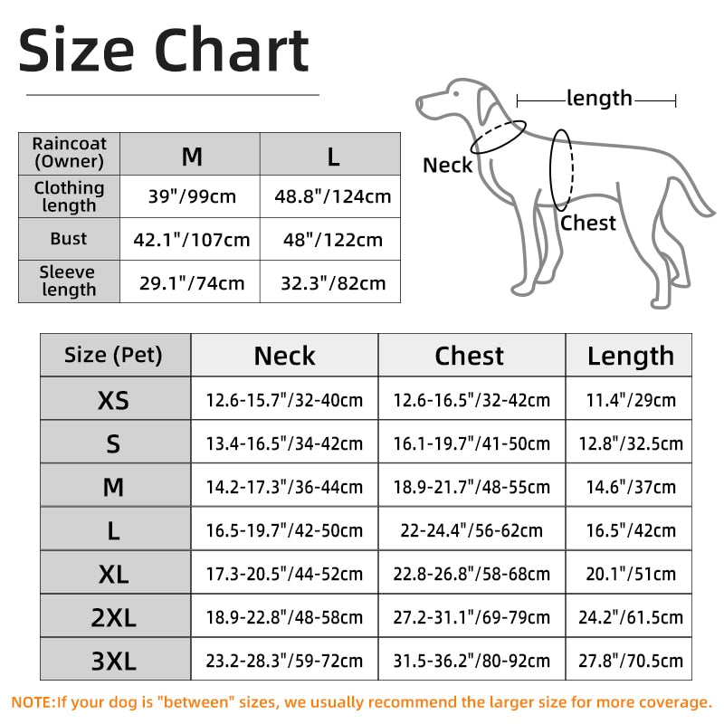 French Bulldog Premium Product for Frenchie Enthusiasts-fadou