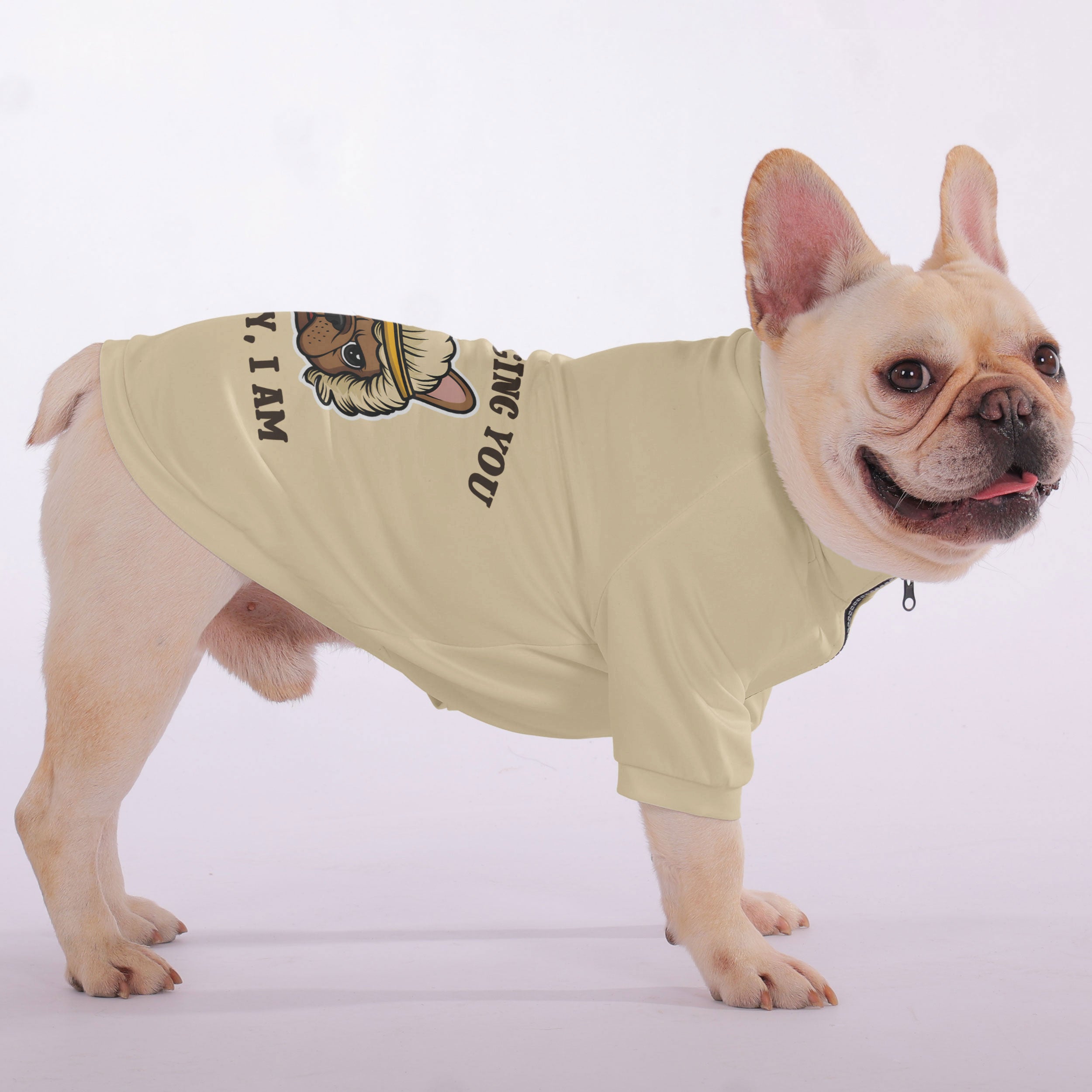 Not French Bulldog Pet Sweatshirt for Brachycephalic Dogs-fadou