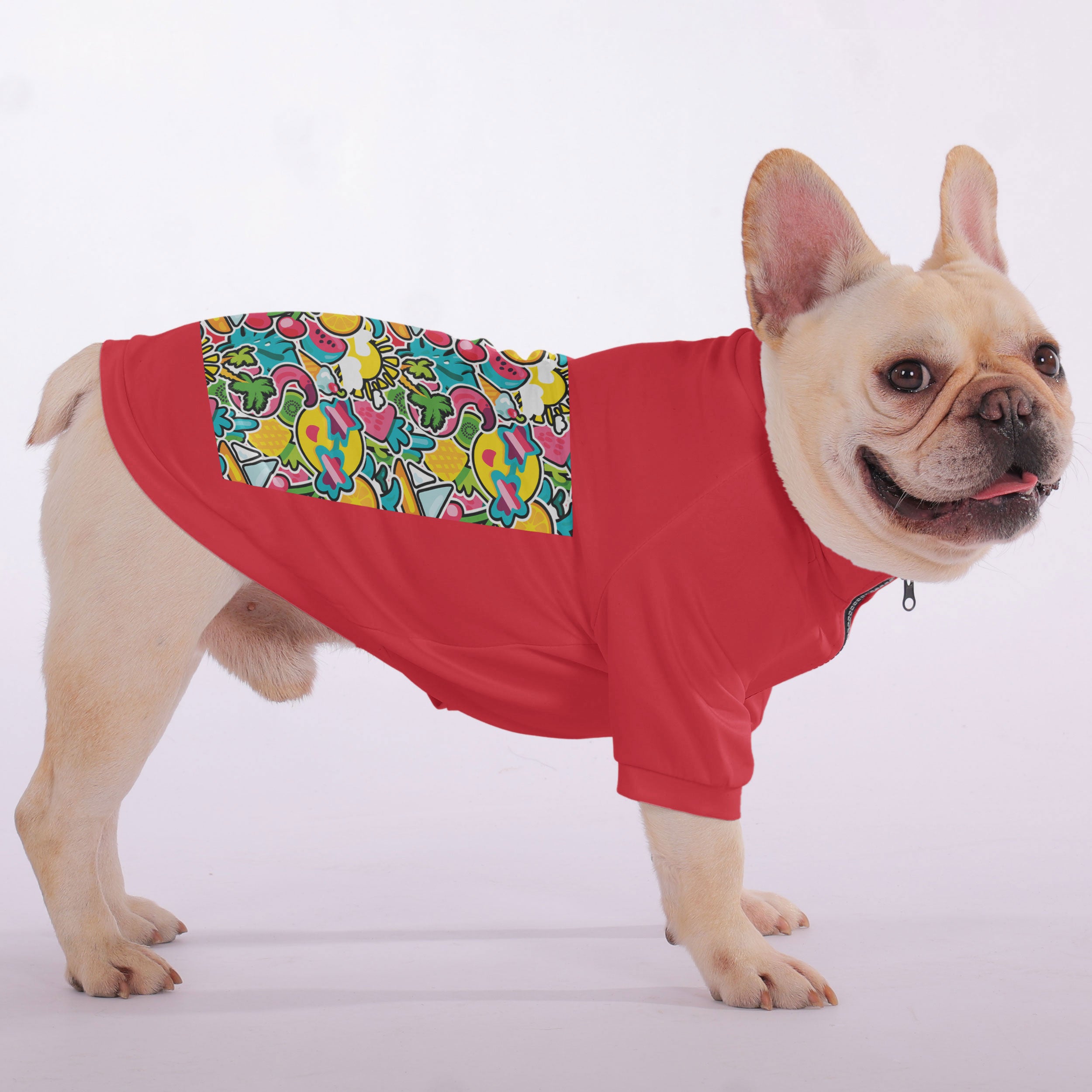 Apollo French Bulldog Fleece Hoodie for Training Sessions-fadou