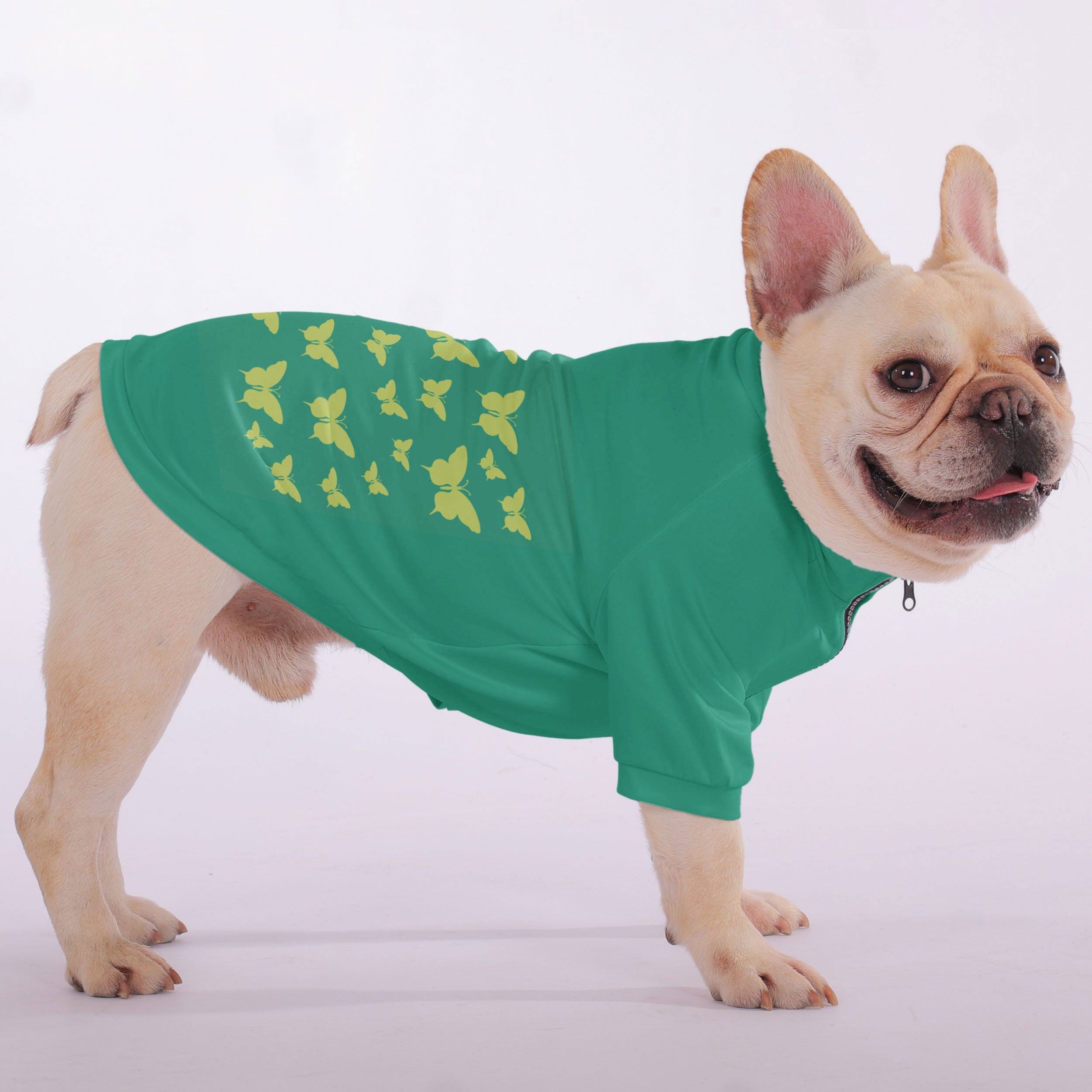 Groucho French Bulldog Pet Sweatshirt for Outdoor Adventures-fadou