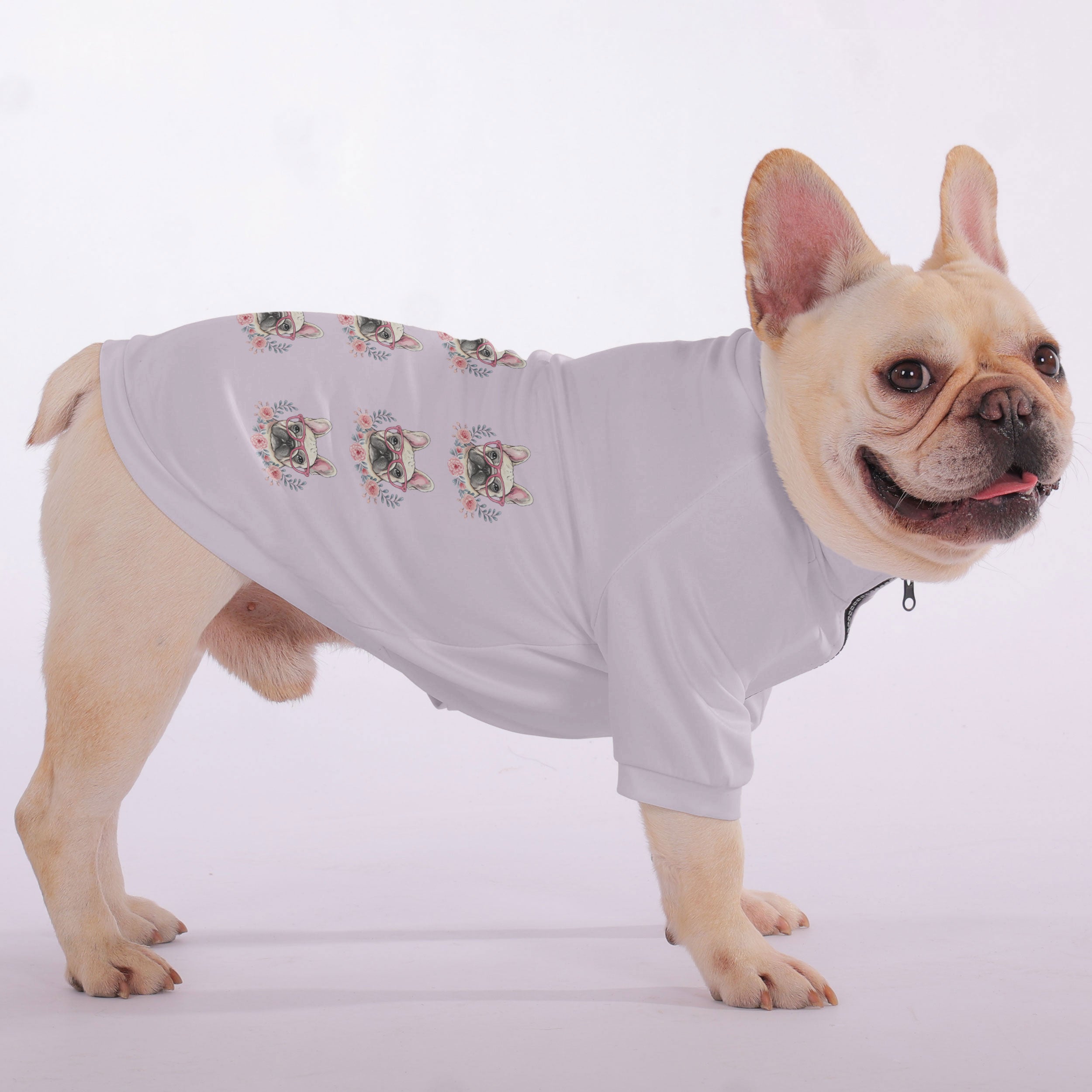 Salsi French Bulldog Pet Sweatshirt for Short-Nosed Dogs-fadou
