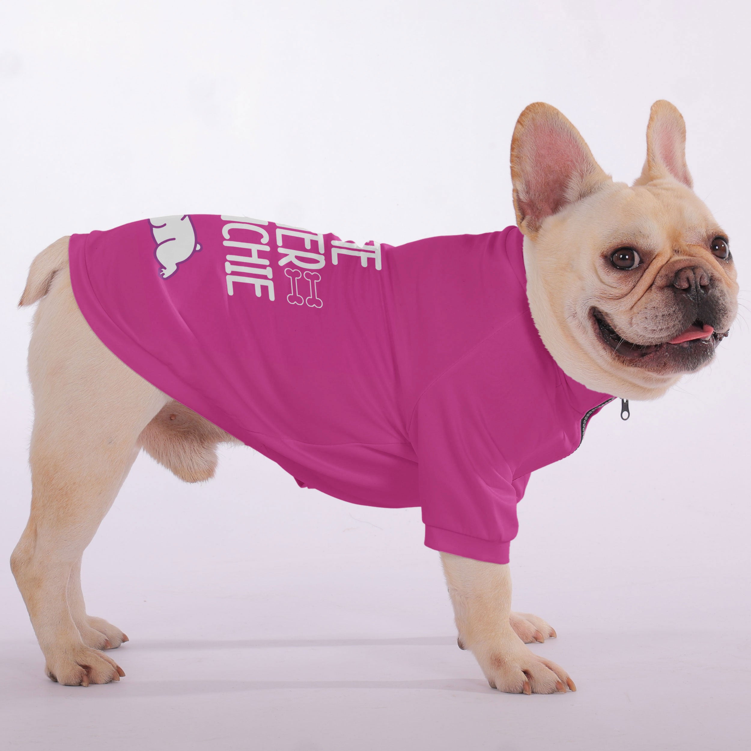 French Bulldog Cute Pet Sweatshirt for Outdoor Adventures-fadou