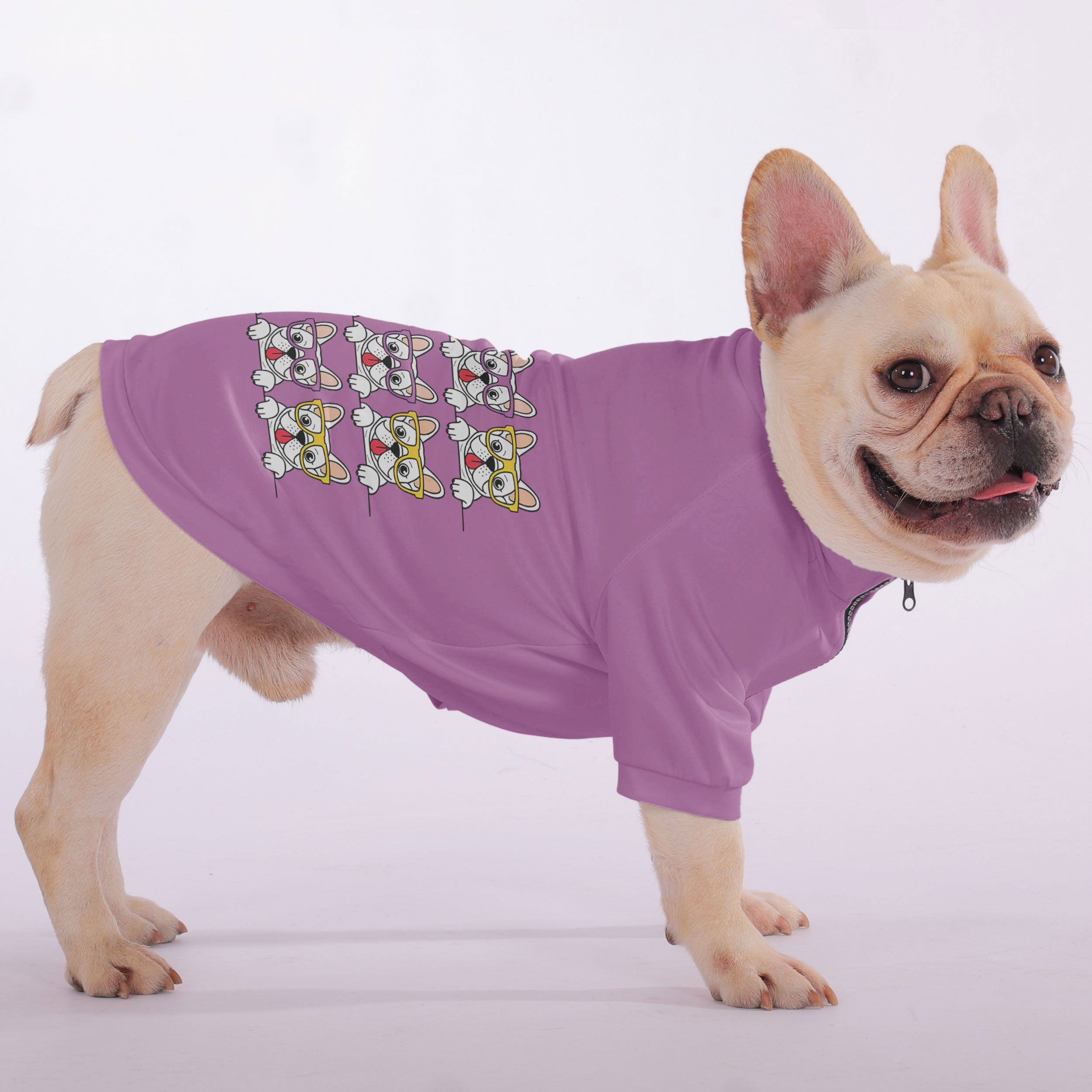Henri French Bulldog Pet Sweatshirt for Flat-Face Breeds-fadou