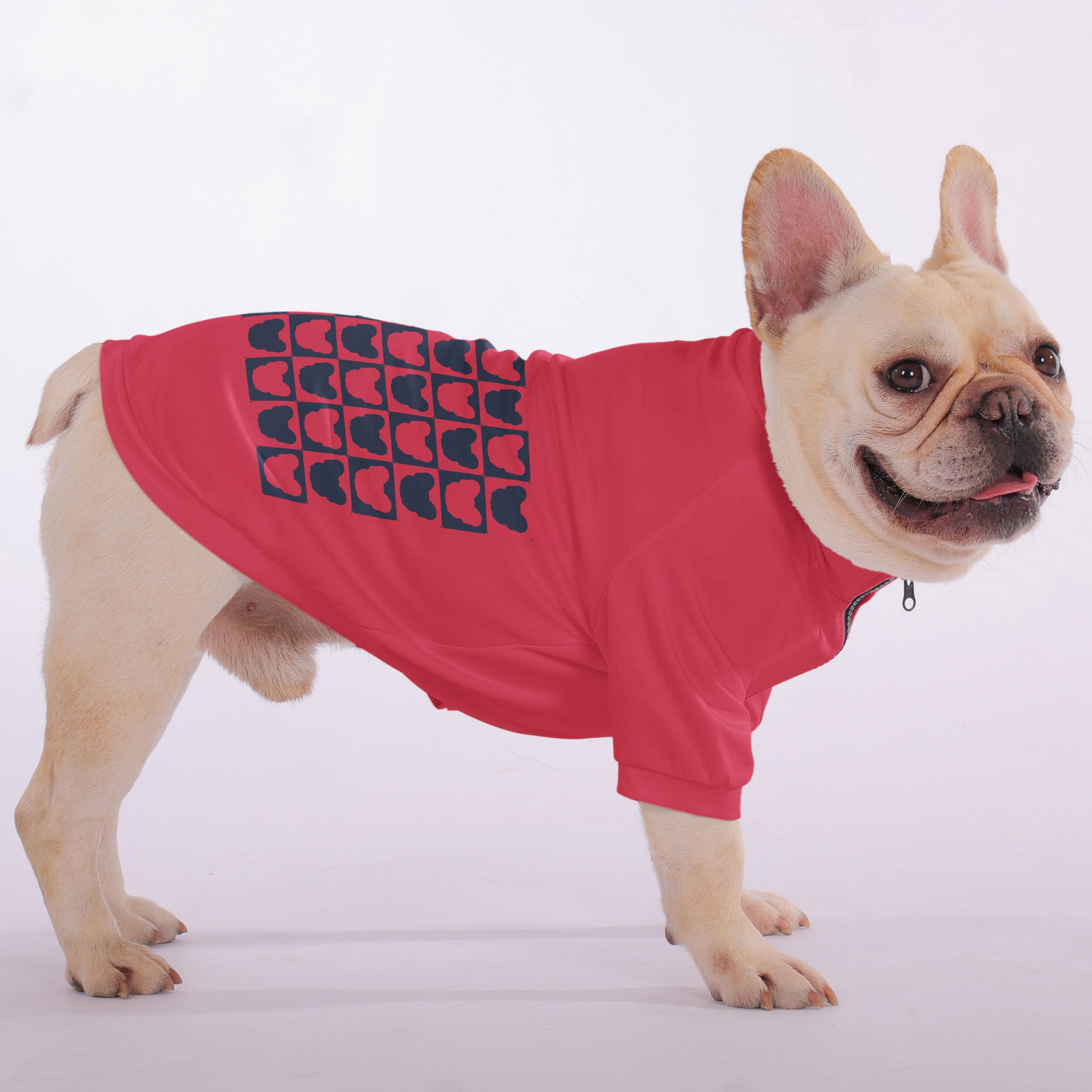 Teddy French Bulldog Fleece Hoodie for Outdoor Adventures-fadou