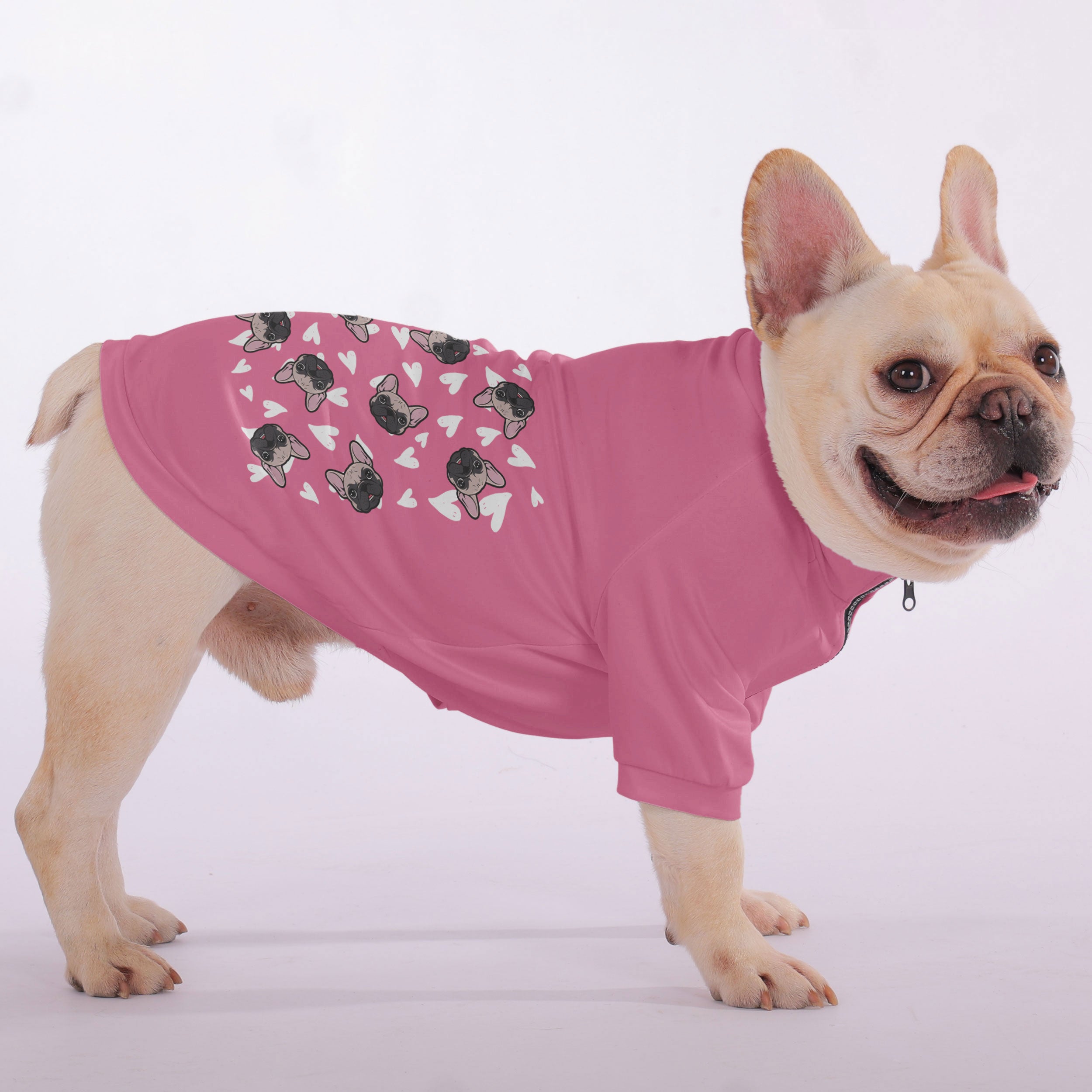 Delrick French Bulldog Dog Hoodie for Training Sessions-fadou