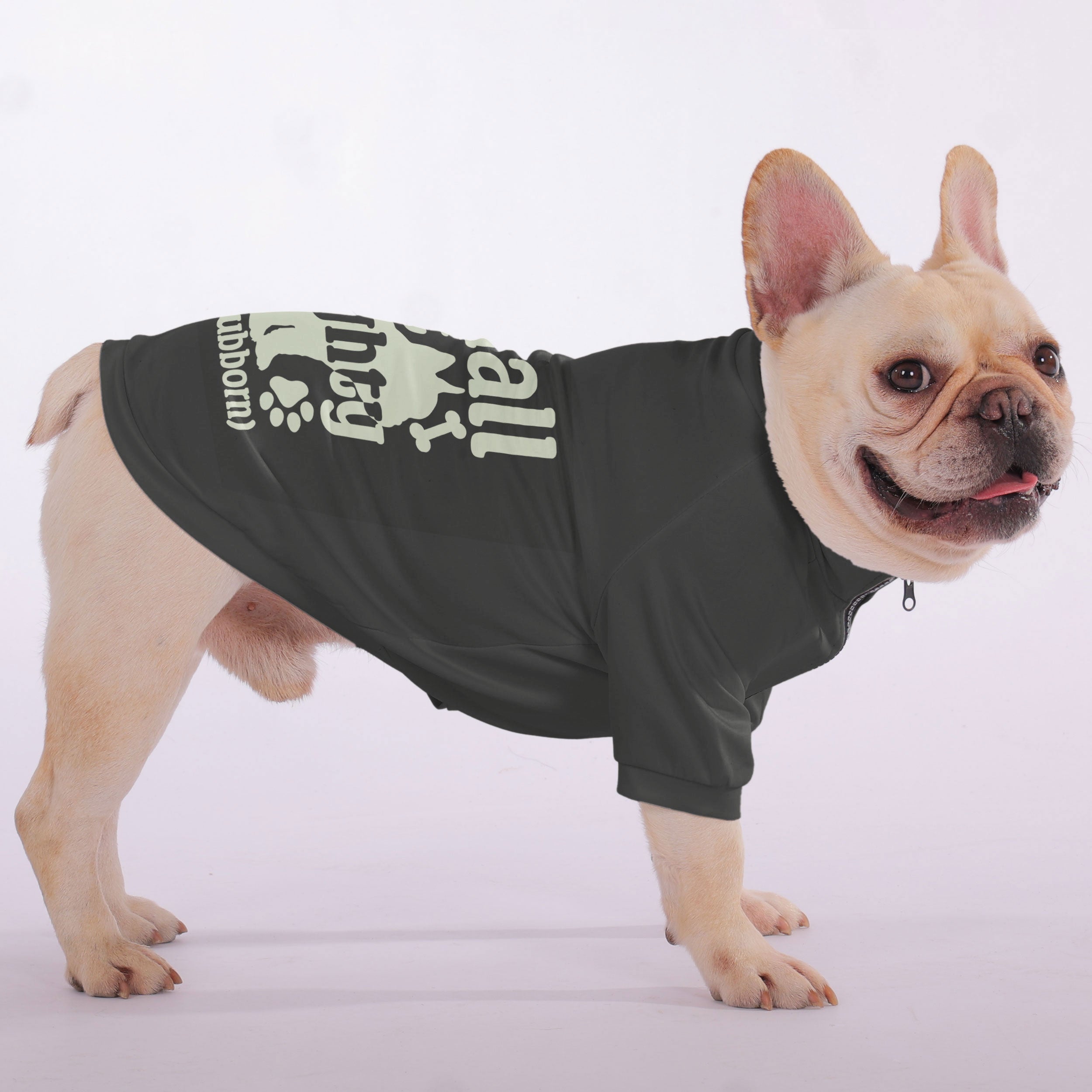 Small French Bulldog Pet Sweatshirt for Outdoor Adventures-fadou