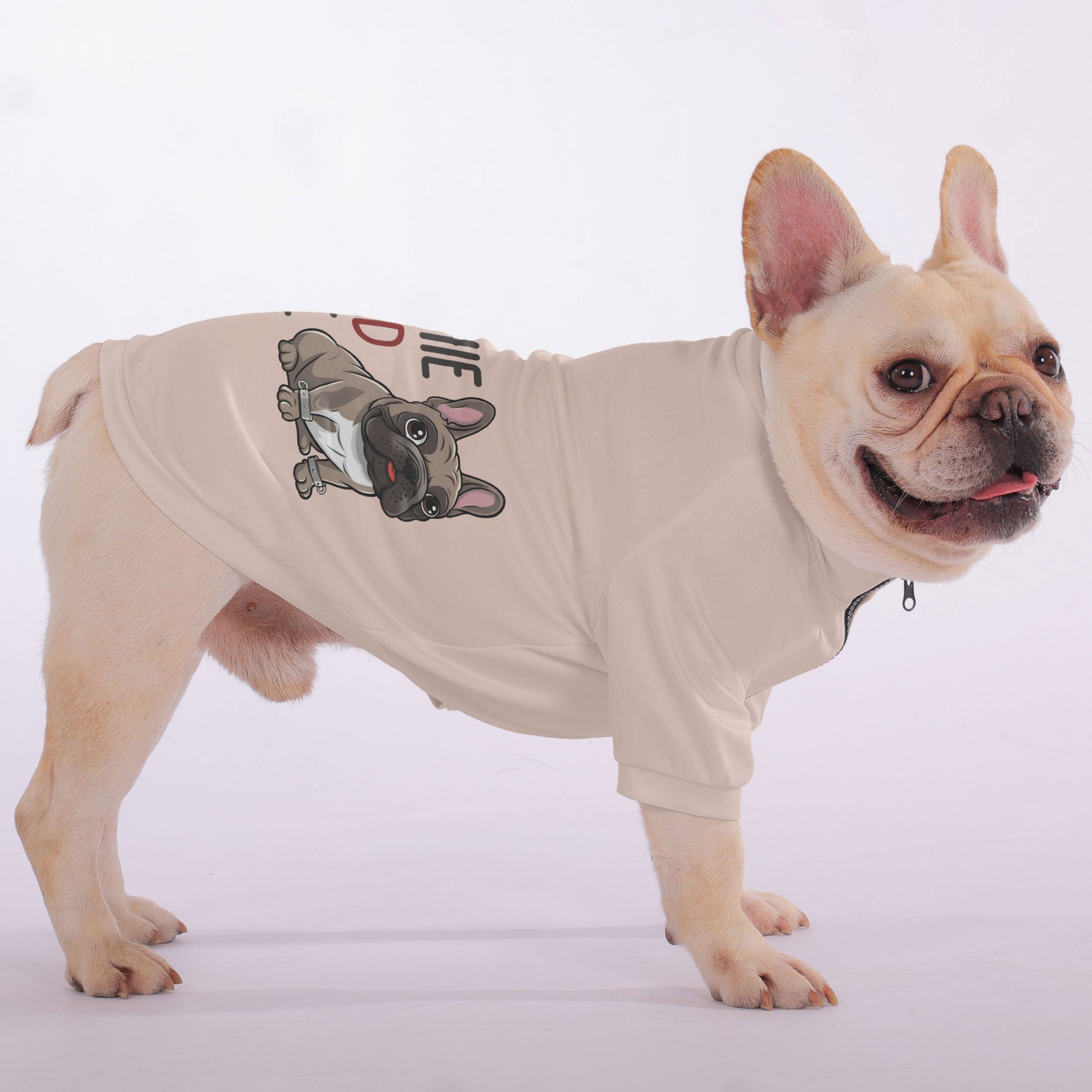 Frenchie Certified Trouble - Snuggly Zip-Up for French Bulldogs-fadou