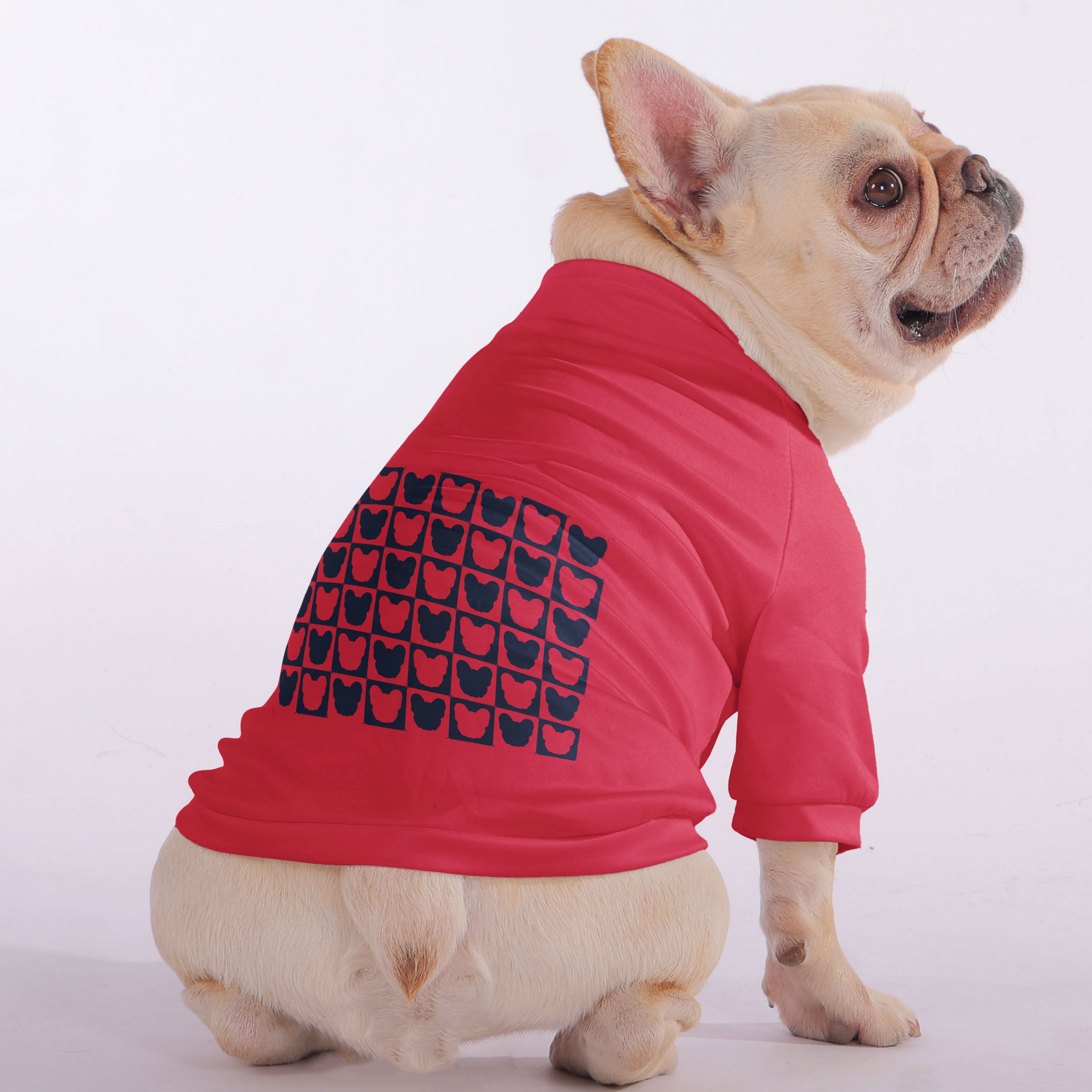 Teddy French Bulldog Fleece Hoodie for Outdoor Adventures-fadou