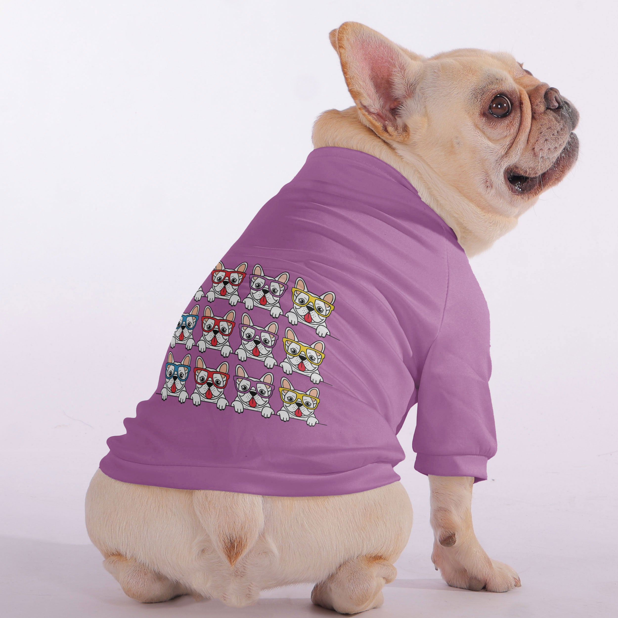 Henri French Bulldog Pet Sweatshirt for Flat-Face Breeds-fadou