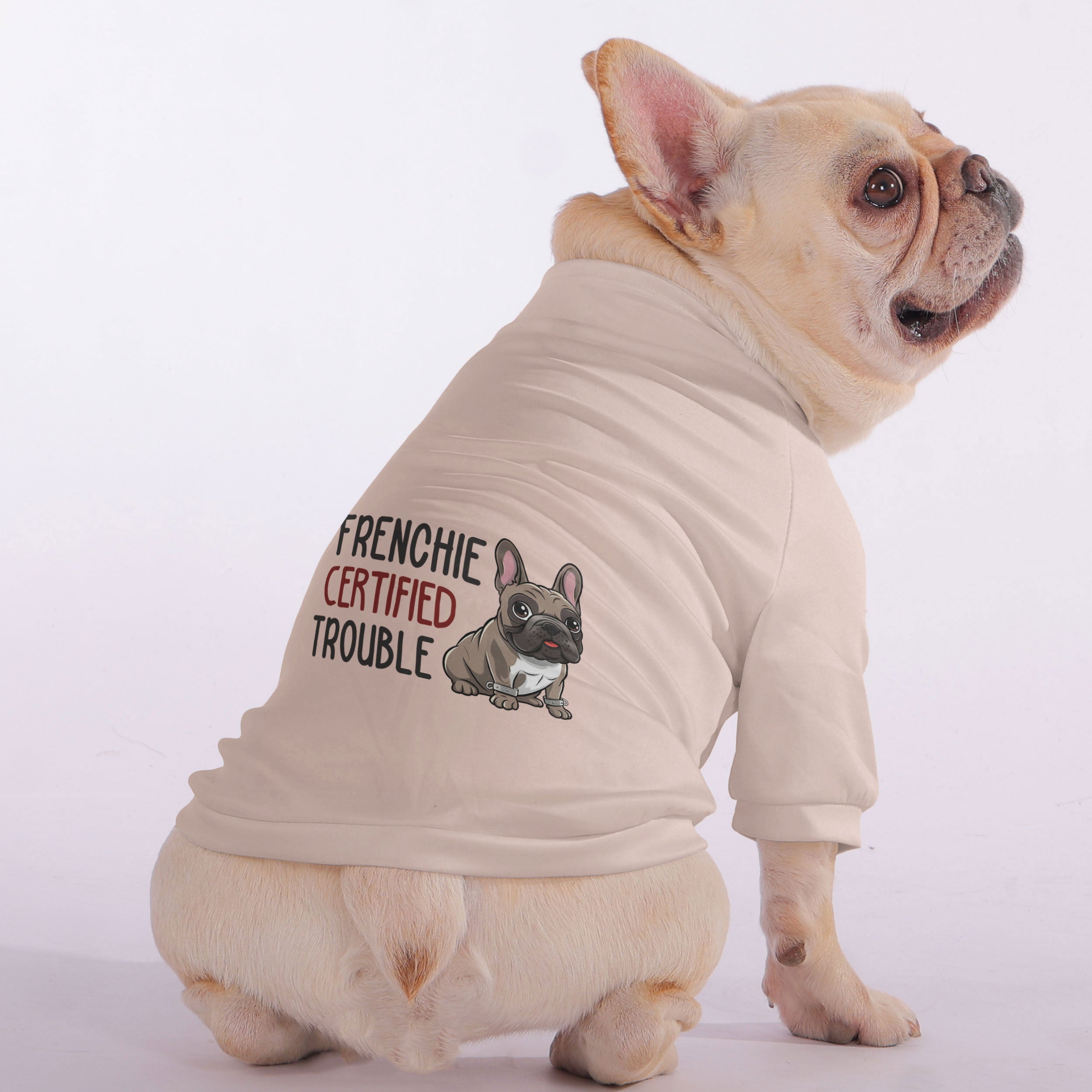 Frenchie Certified Trouble - Snuggly Zip-Up for French Bulldogs-fadou