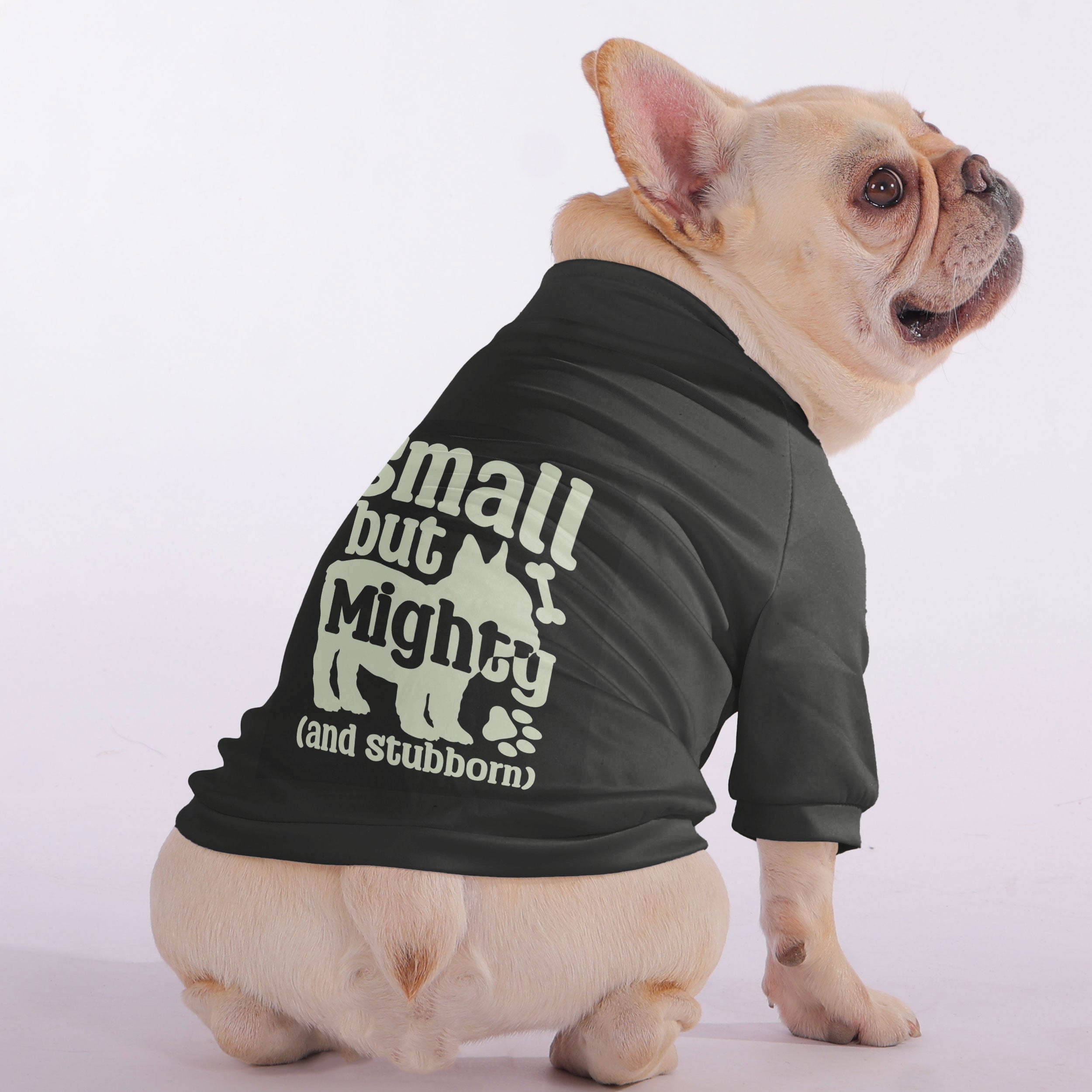 Small French Bulldog Pet Sweatshirt for Outdoor Adventures-fadou
