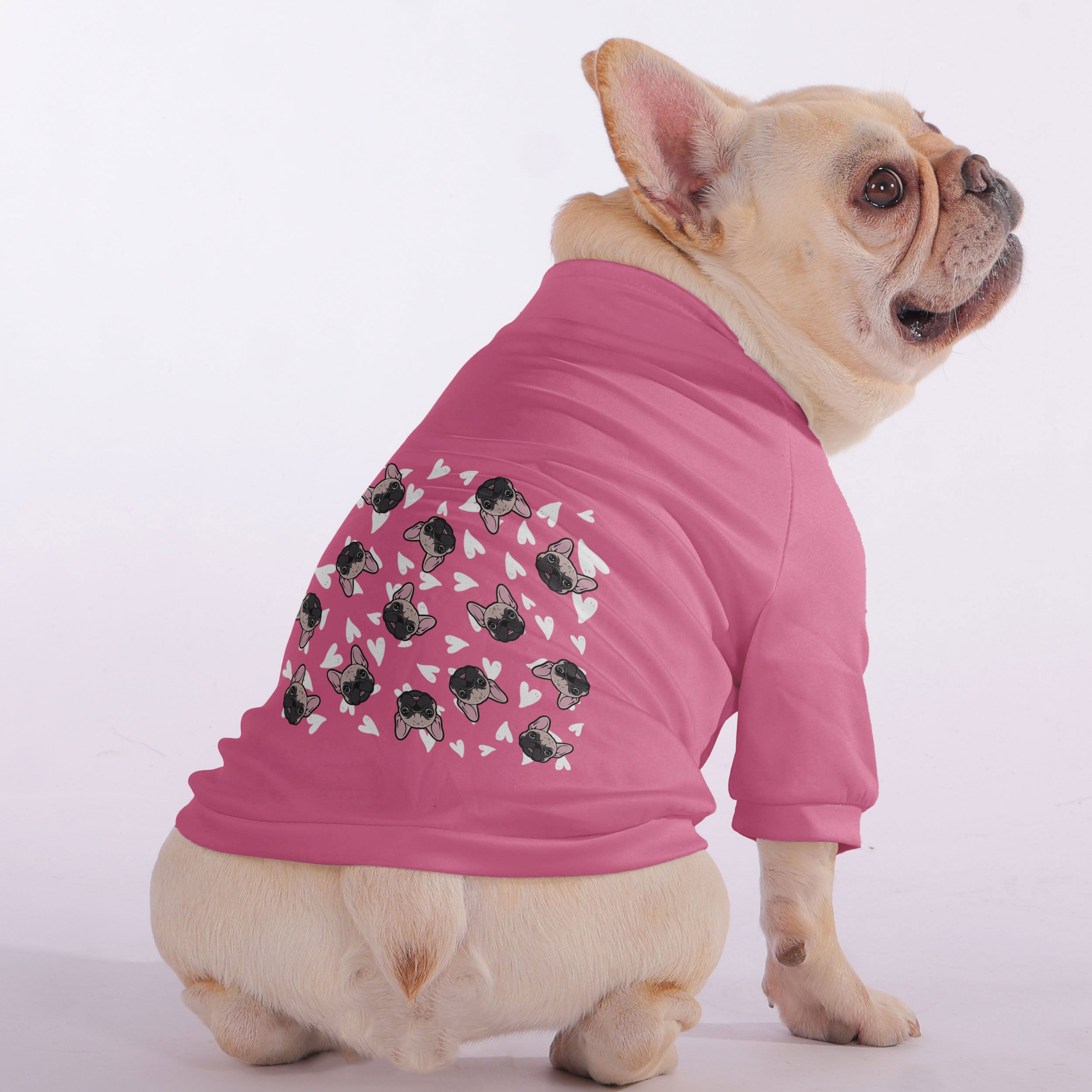 Delrick French Bulldog Dog Hoodie for Training Sessions-fadou