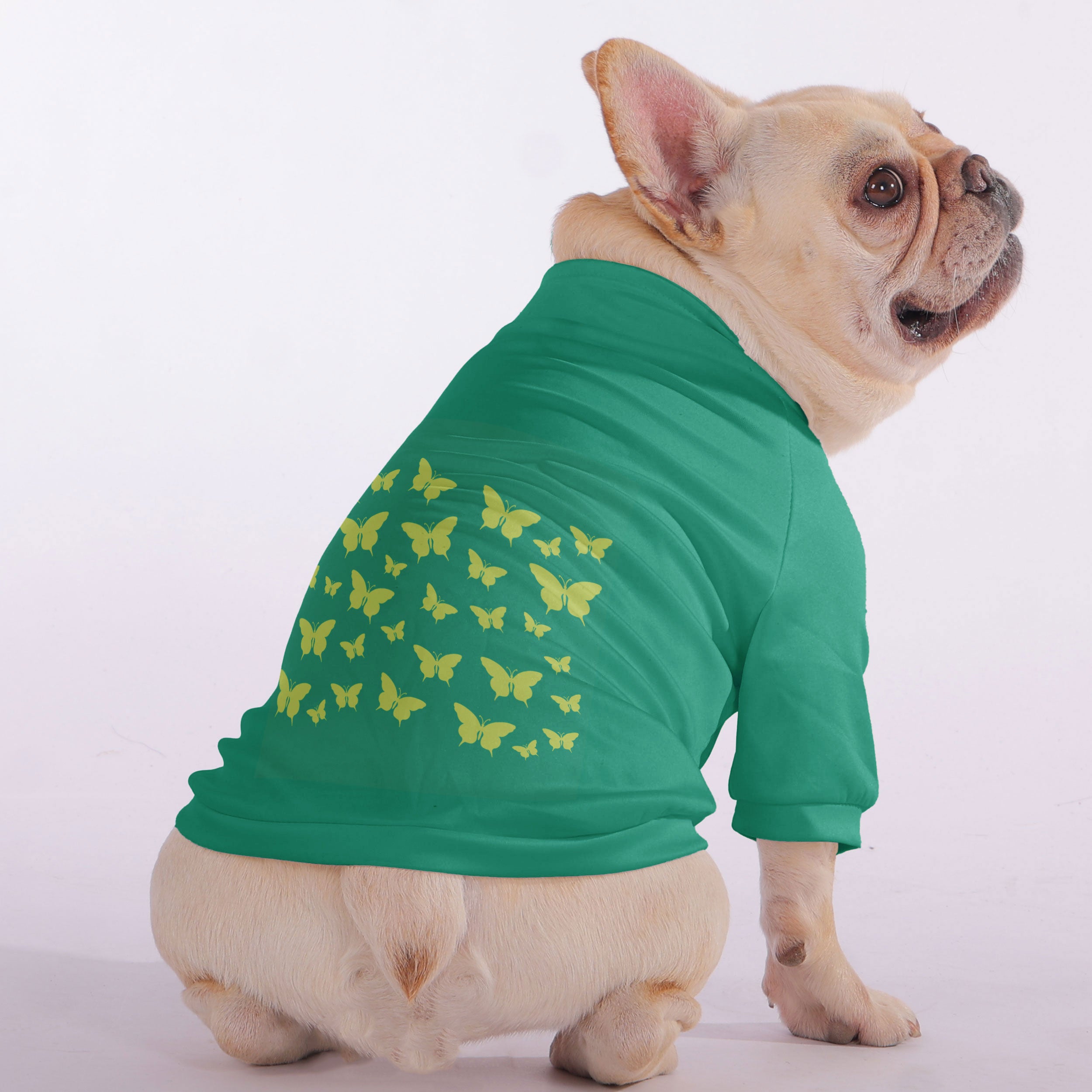 Groucho French Bulldog Pet Sweatshirt for Outdoor Adventures-fadou