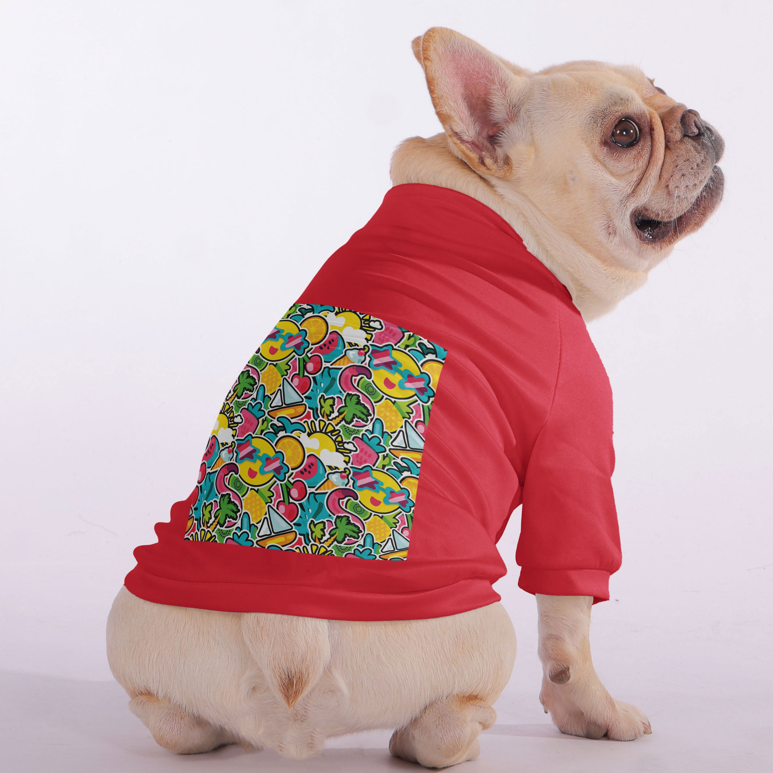 Apollo French Bulldog Fleece Hoodie for Training Sessions-fadou