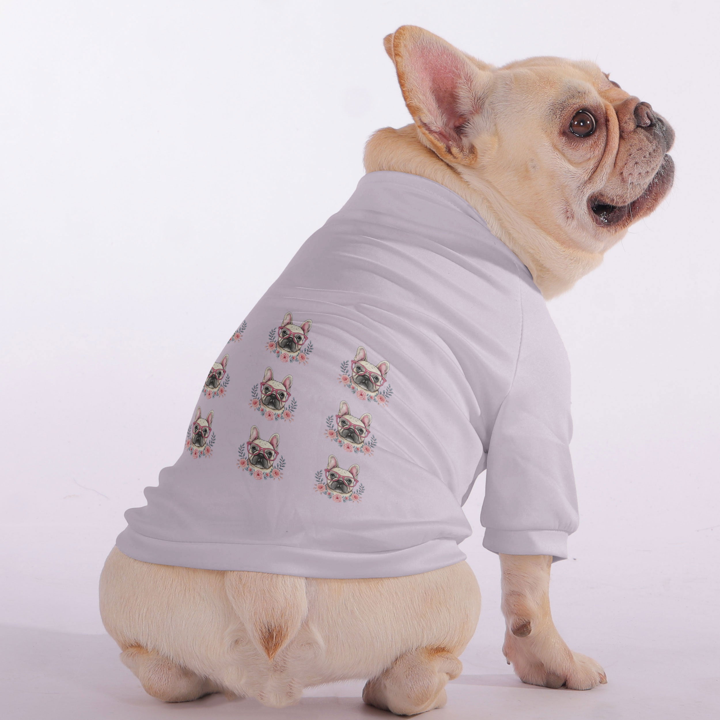 Salsi French Bulldog Pet Sweatshirt for Short-Nosed Dogs-fadou