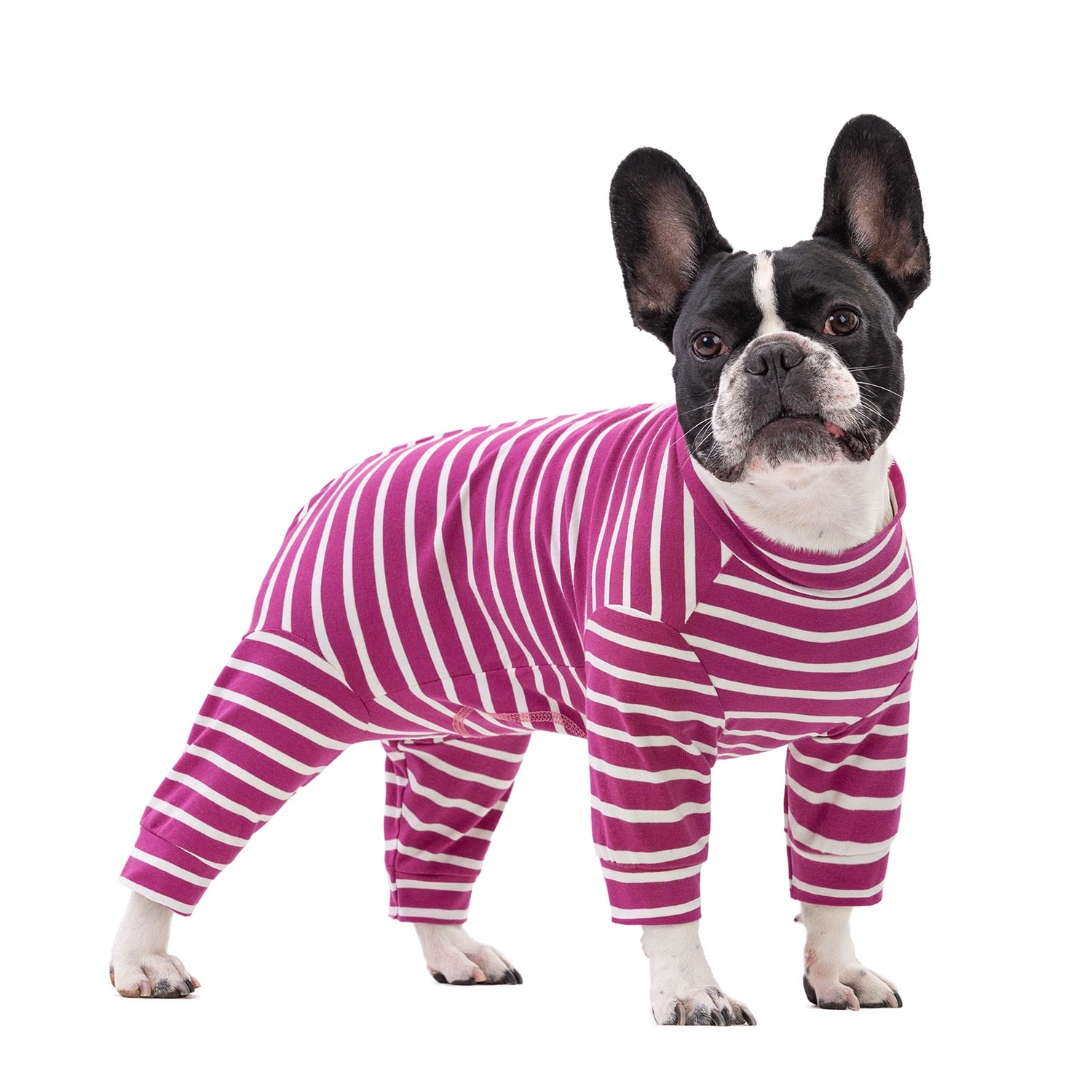 French Bulldog Stylish Cozy Pajama Set for Frenchie Fans-fadou