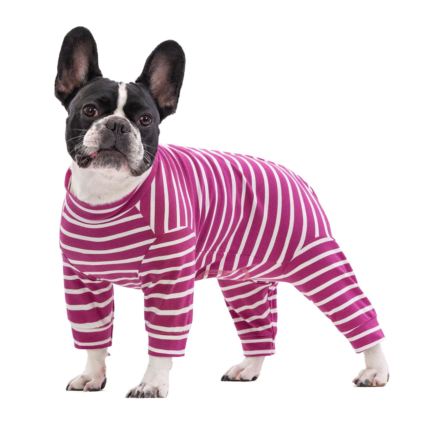 French Bulldog Stylish Cozy Pajama Set for Frenchie Fans-fadou