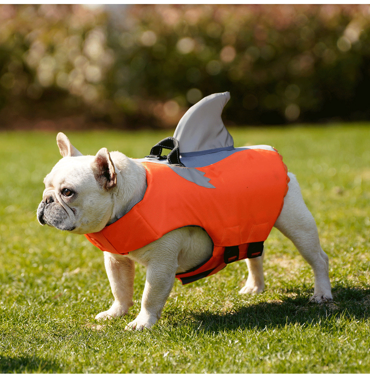 French Bulldog Reflective Beach Swimwear for Bulldog Owners-fadou