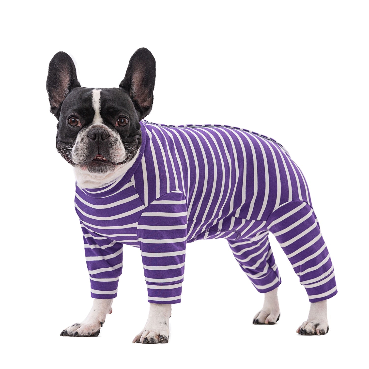 French Bulldog Stylish Cozy Pajama Set for Frenchie Fans-fadou