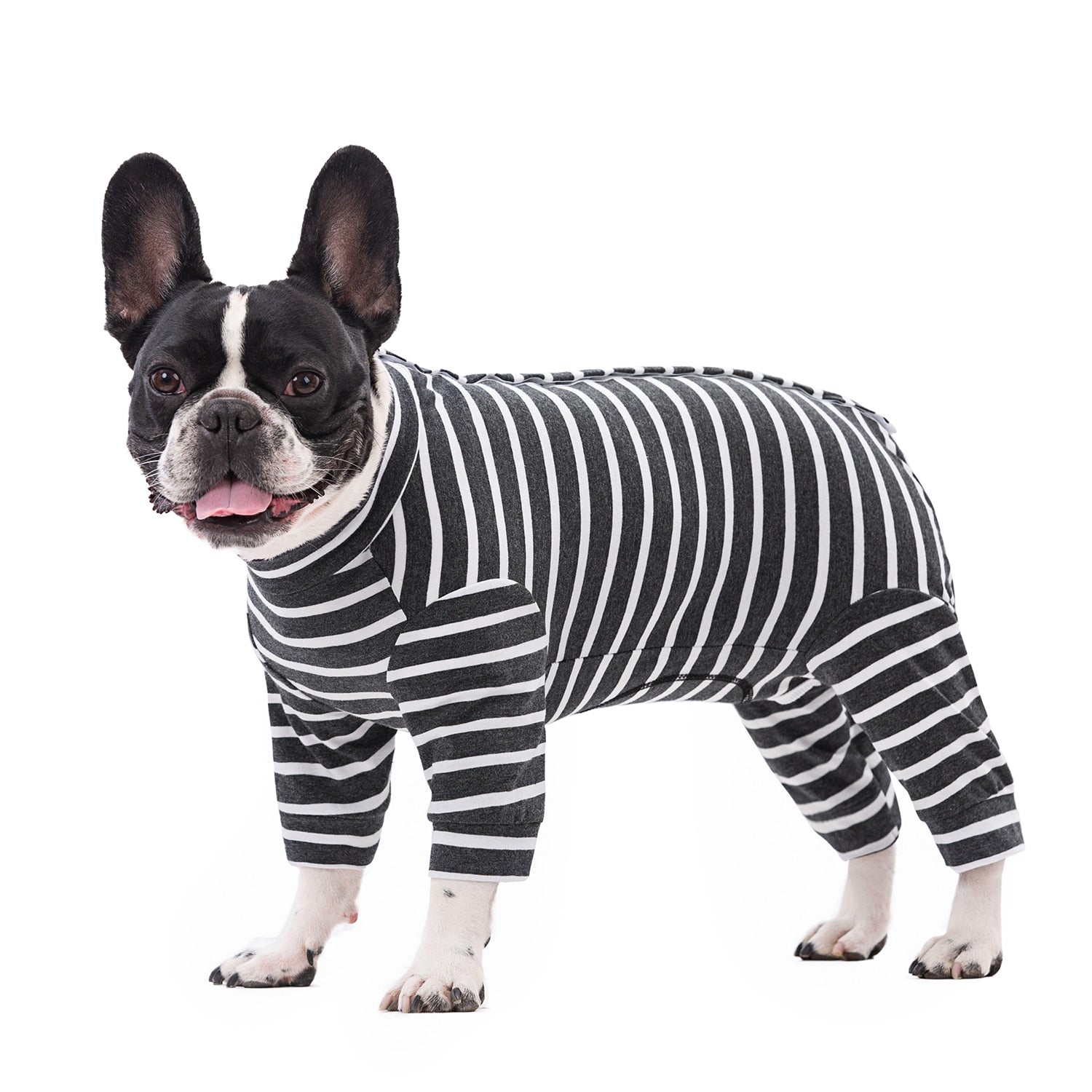 French Bulldog Stylish Cozy Pajama Set for Frenchie Fans-fadou