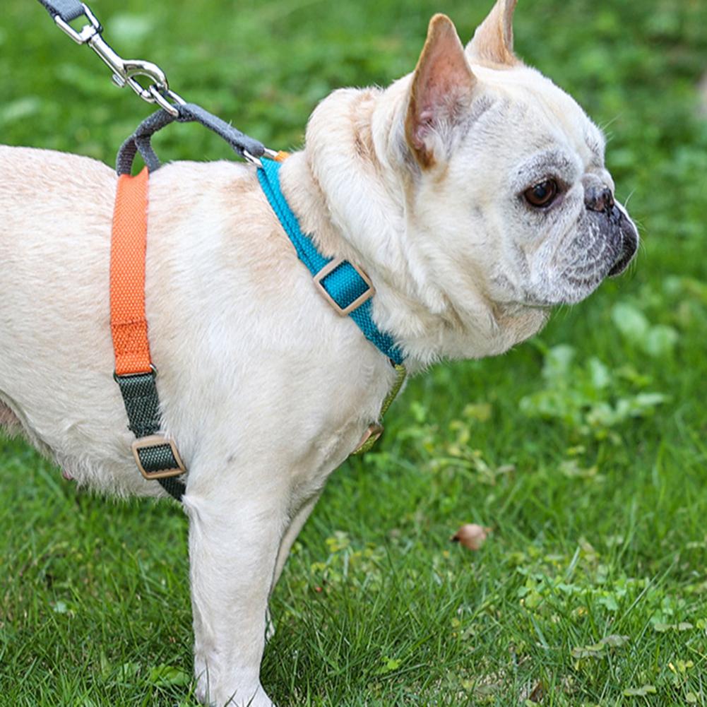 French Bulldog Adjustable Walking Harness for Short-Nosed Dogs-fadou