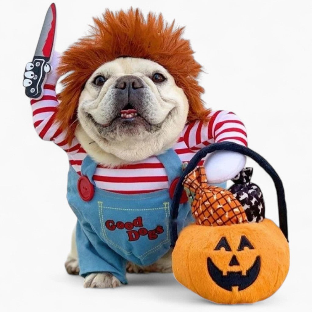 French Bulldog Halloween Cosplay for Outdoor Adventures-fadou