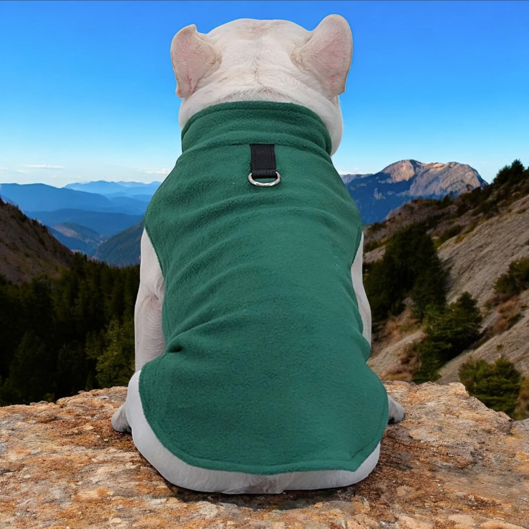 French Bulldog Premium Pet Jacket for Outdoor Adventures-fadou