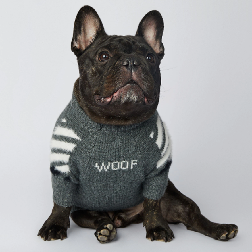 Frenchup™ - Frenchie Woof Winter Sweater for Pet Parents-fadou
