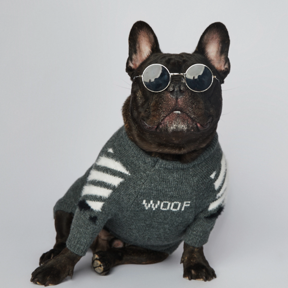 Frenchup™ - Frenchie Woof Winter Sweater for Pet Parents-fadou