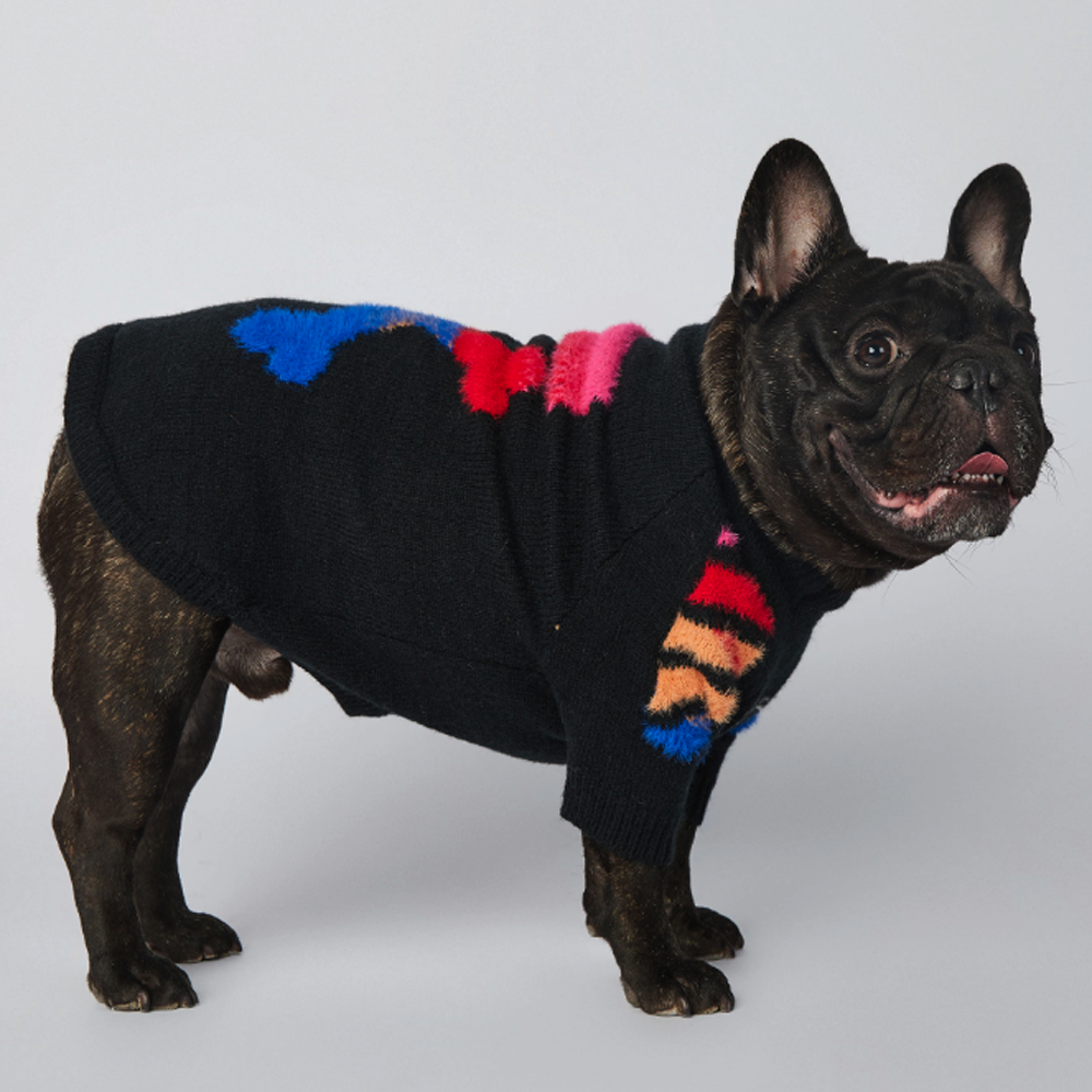 Frenchup™ - Frenchie Woof Winter Sweater for Frenchie Fans-fadou