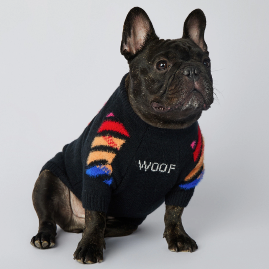 Frenchup™ - Frenchie Woof Winter Sweater for Frenchie Fans-fadou