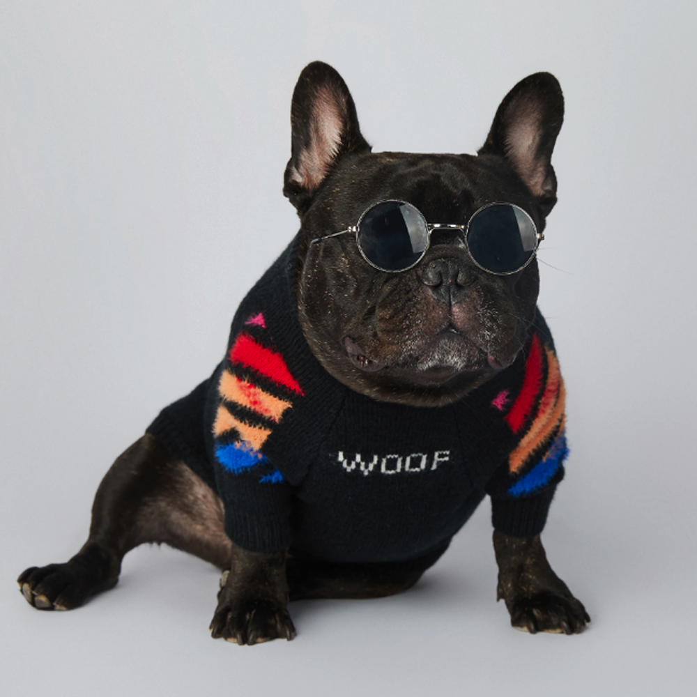 Frenchup™ - Frenchie Woof Winter Sweater for Frenchie Fans-fadou