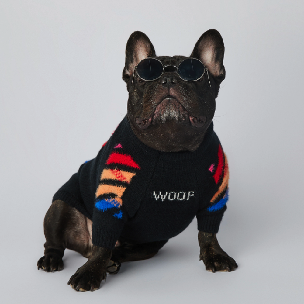 Frenchup™ - Frenchie Woof Winter Sweater for Frenchie Fans-fadou