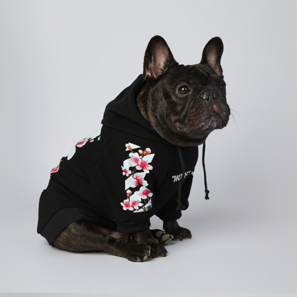 Frenchdot™ - French Bulldog Woof Hoodie for Dog Moms & Dads-fadou
