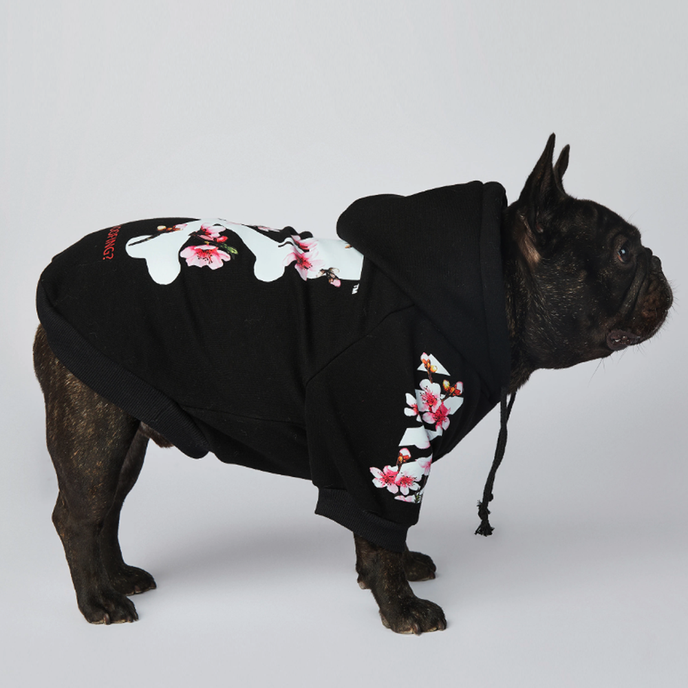 Frenchdot™ - French Bulldog Woof Hoodie for Dog Moms & Dads-fadou