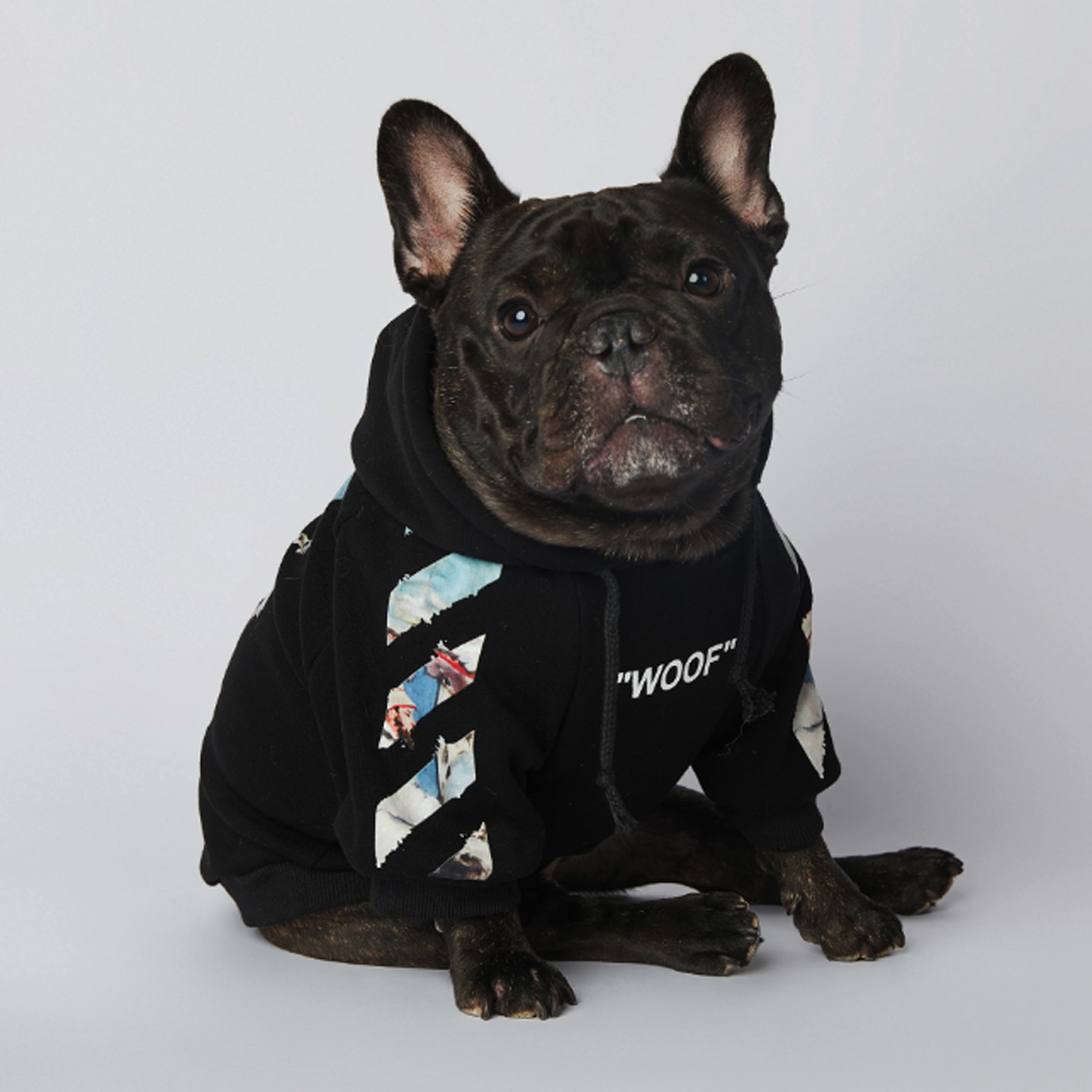 Frenchdot™ - French Bulldog Woof Hoodie for Frenchie Fans-fadou