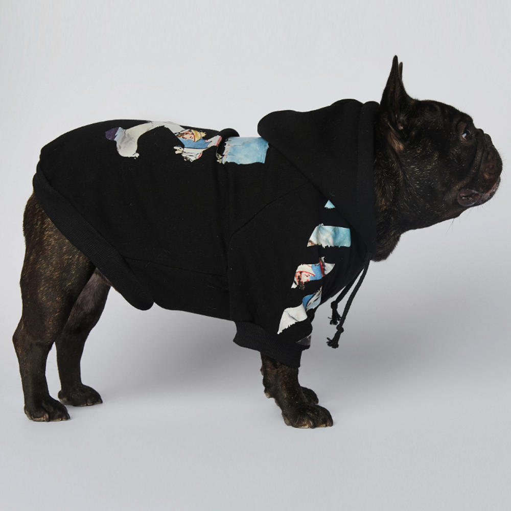 Frenchdot™ - French Bulldog Woof Hoodie for Frenchie Fans-fadou