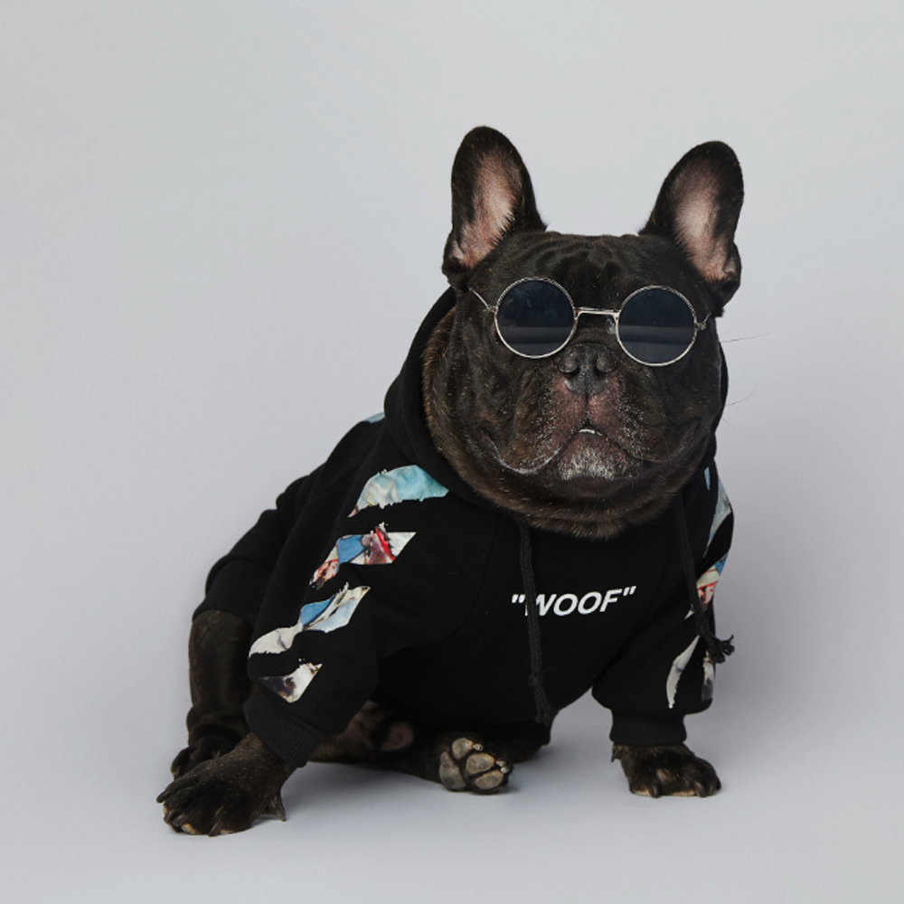 Frenchdot™ - French Bulldog Woof Hoodie for Frenchie Fans-fadou