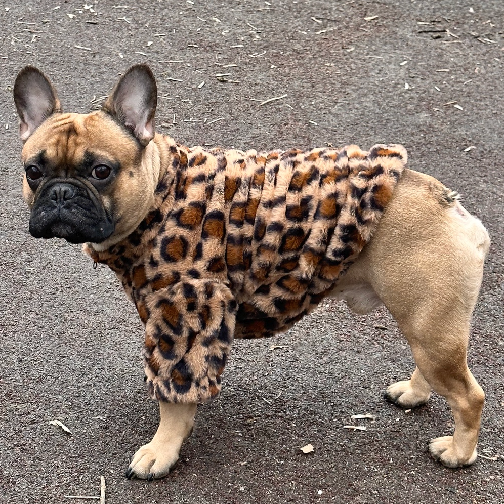 French Bulldog Winter Knit Sweater for Training Sessions-fadou