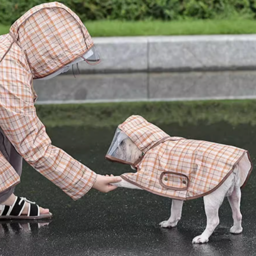 French Bulldog Premium Product for Frenchie Enthusiasts-fadou
